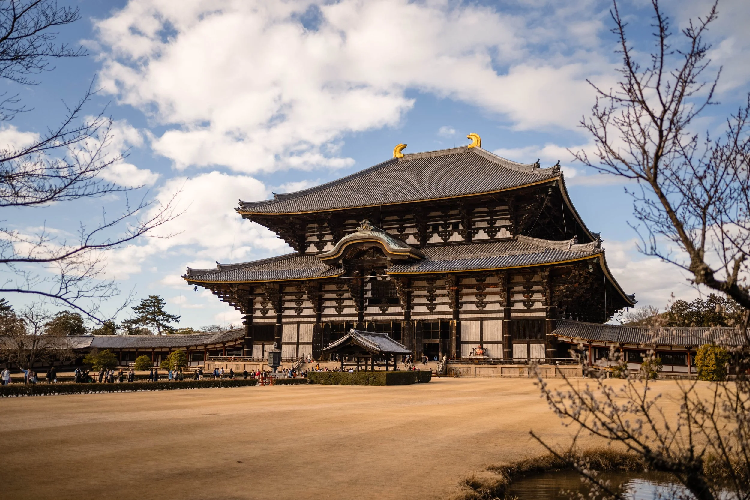 Japan 2024 the highlights-141.jpg