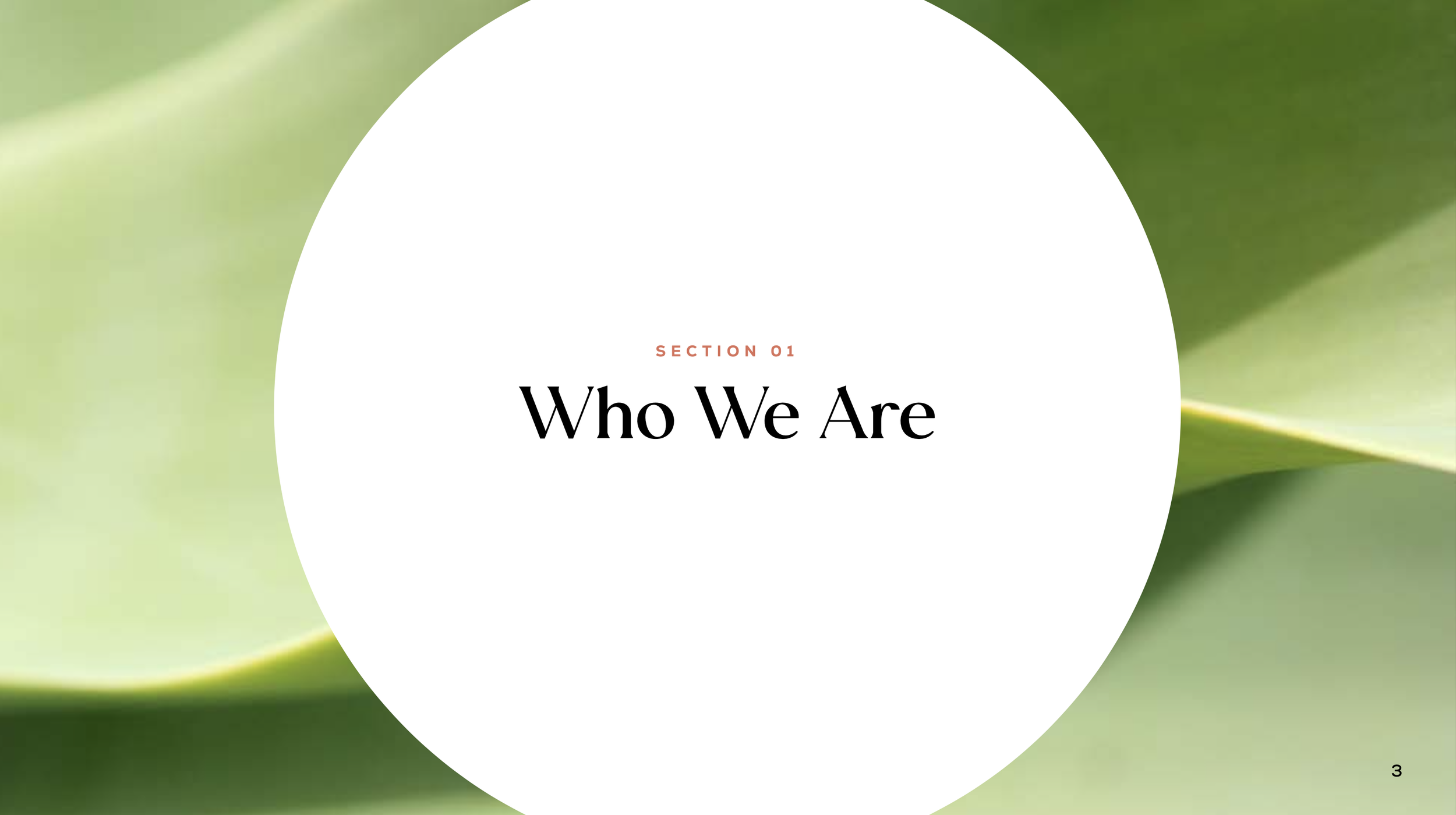 Screen Shot 2023-10-25 at 10.23.10 AM.png