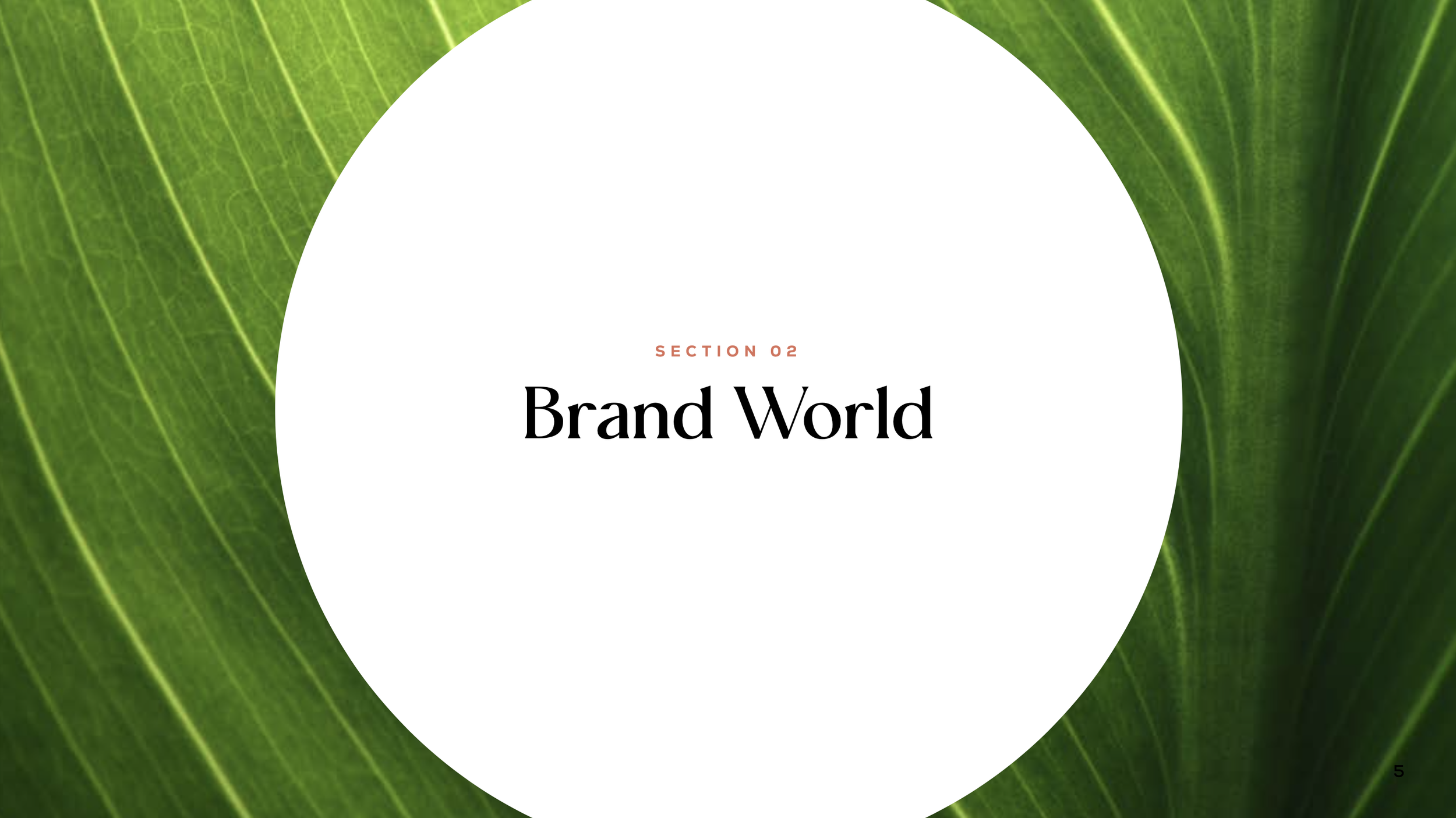 Screen Shot 2023-10-25 at 10.23.45 AM.png