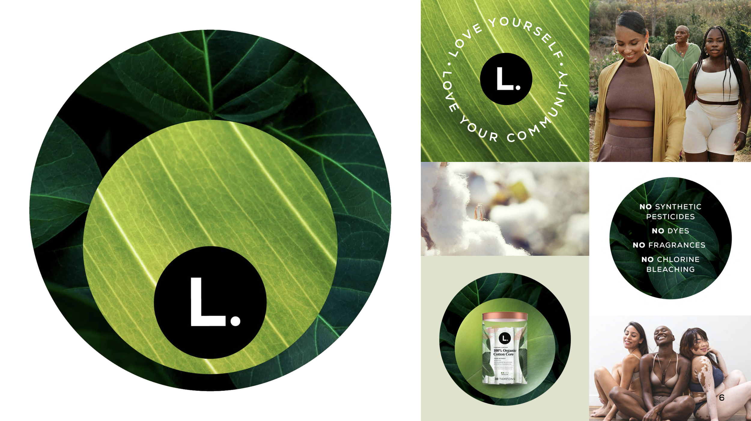 Screen Shot 2023-10-25 at 10.24.00 AM.png