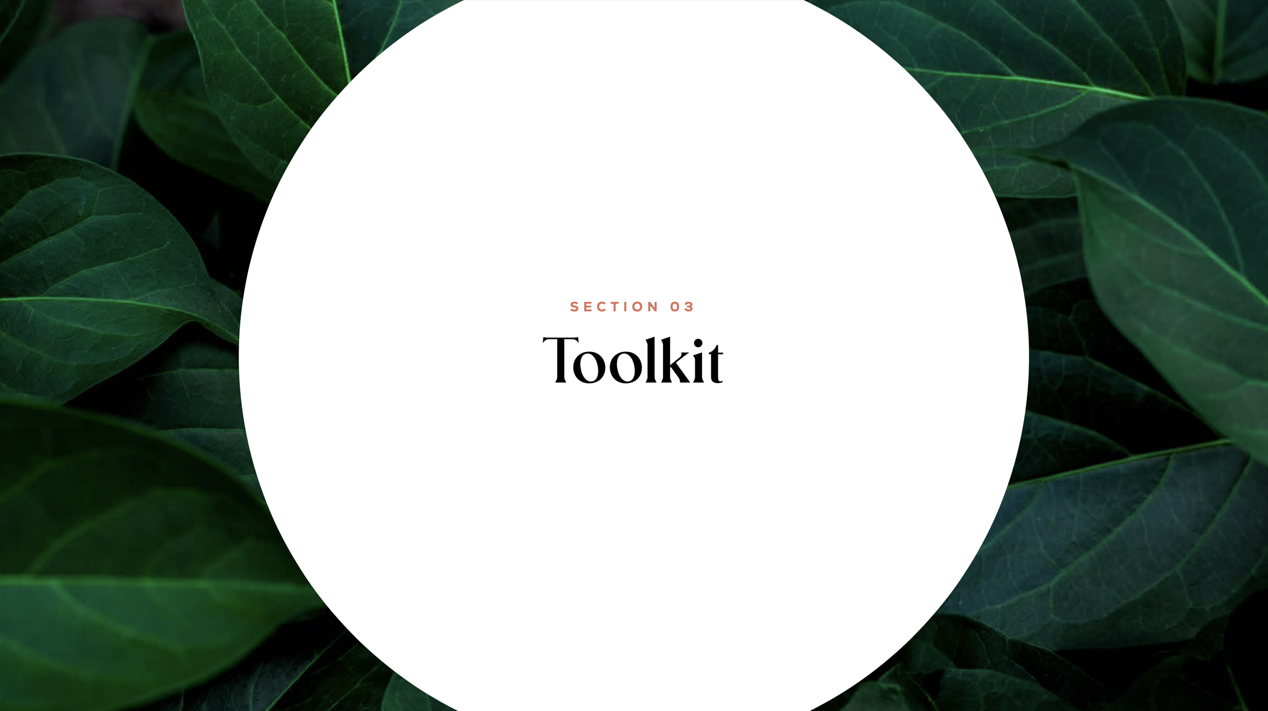 Screen Shot 2023-10-25 at 10.26.15 AM.png