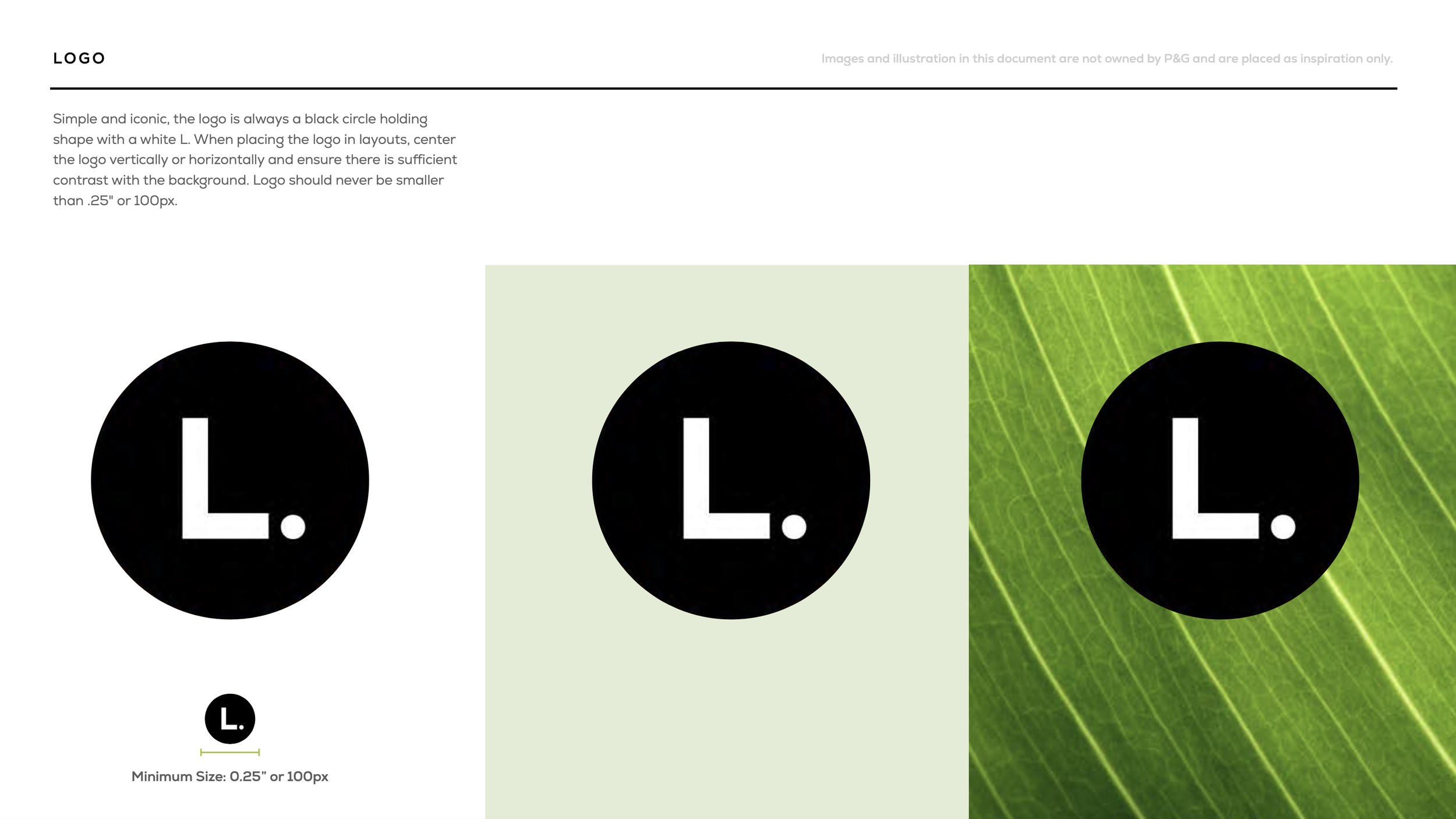 Screen Shot 2023-10-25 at 10.26.43 AM.png