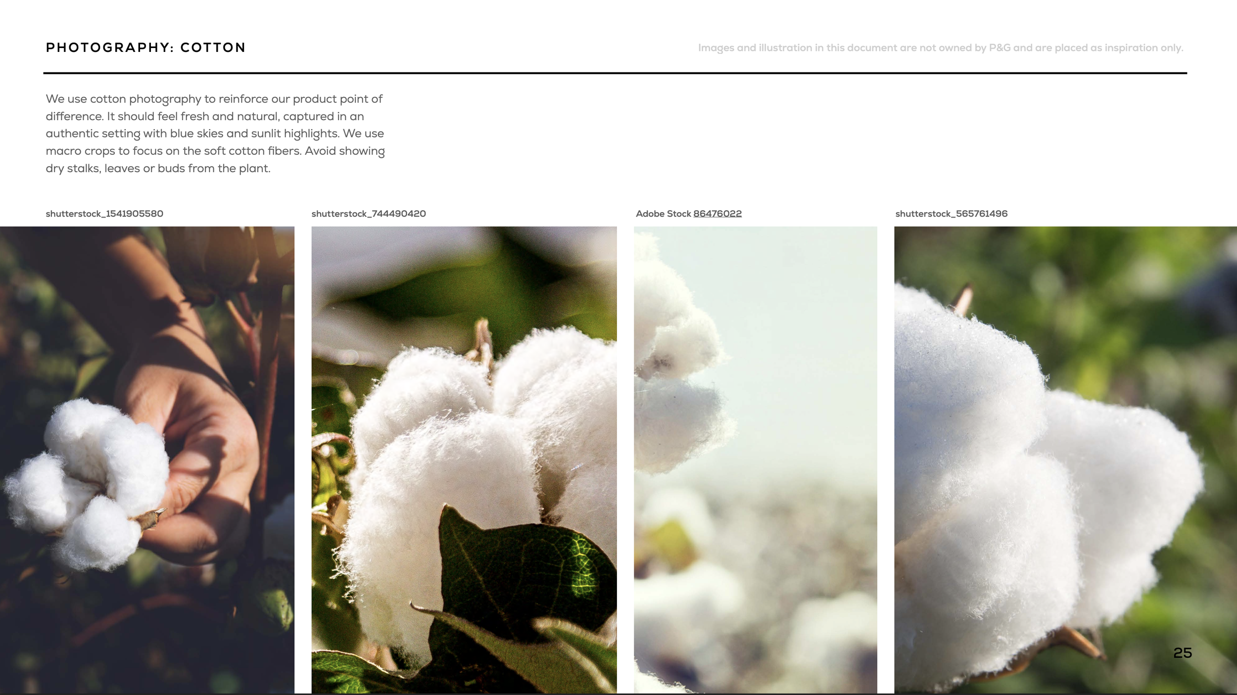 Screen Shot 2023-10-25 at 10.29.13 AM.png