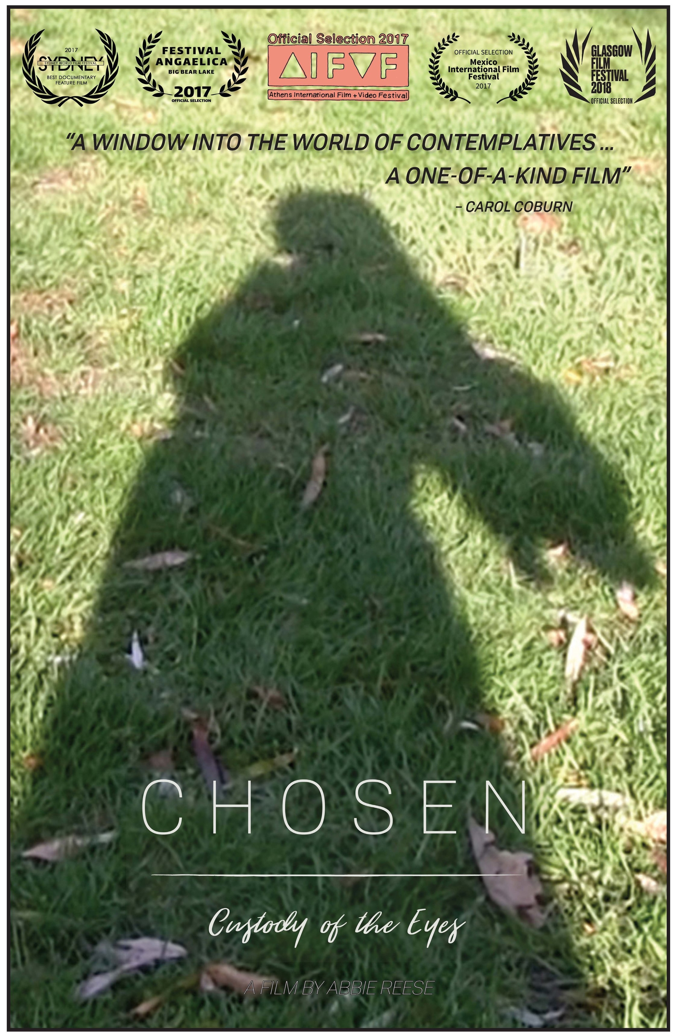 Purchase the DVD at www.chosenthefilm.com.