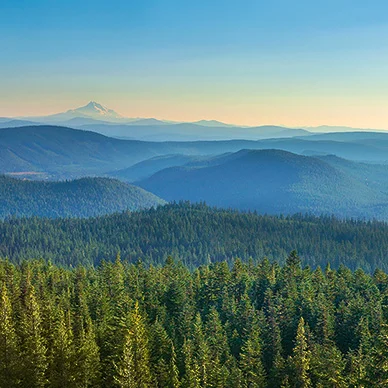 Mountains Menu.jpg