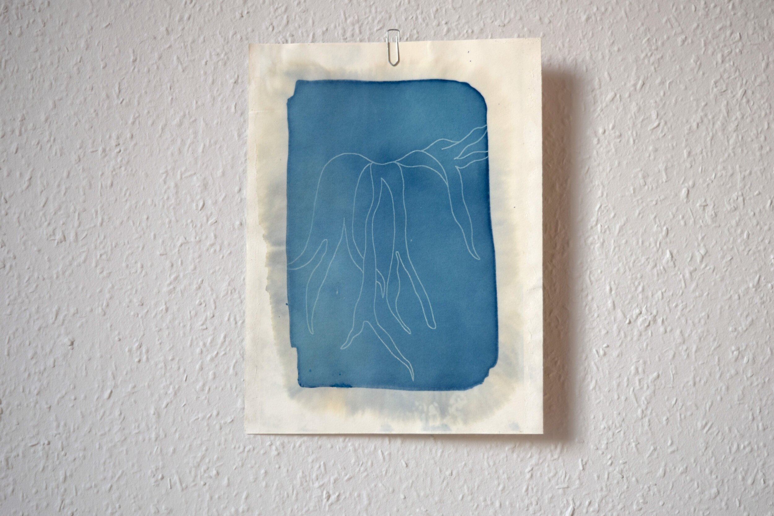 Fern_Cyanotype_2.jpg