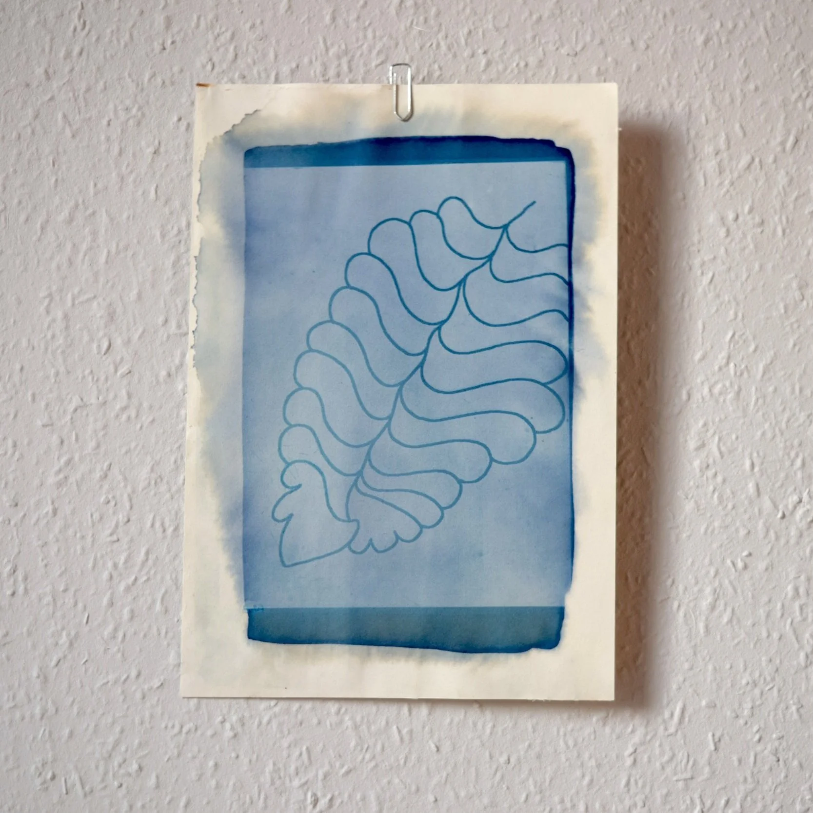 Fern_Cyanotype_3.jpg