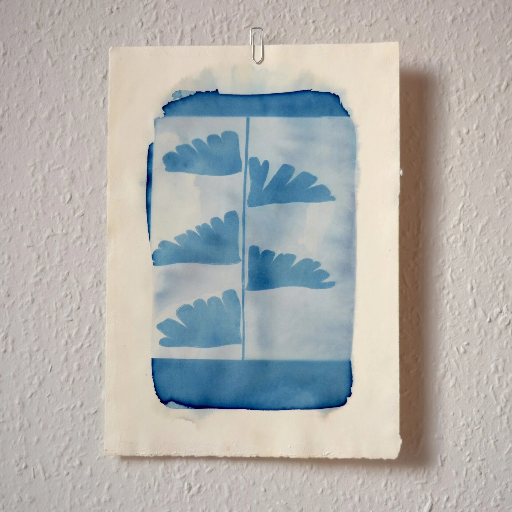 Fern_Cyanotype_4.jpg