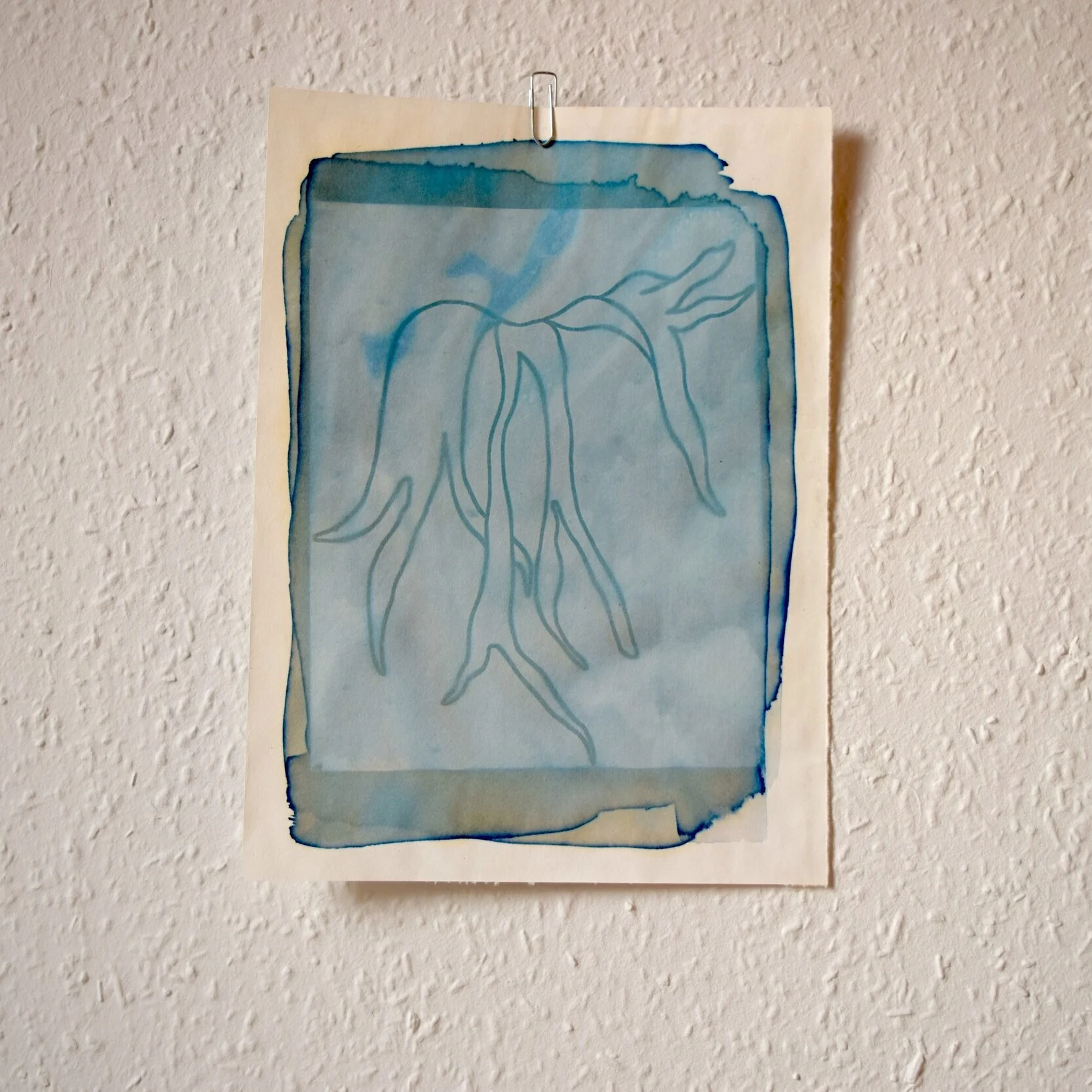 Fern_Cyanotype_6.jpg