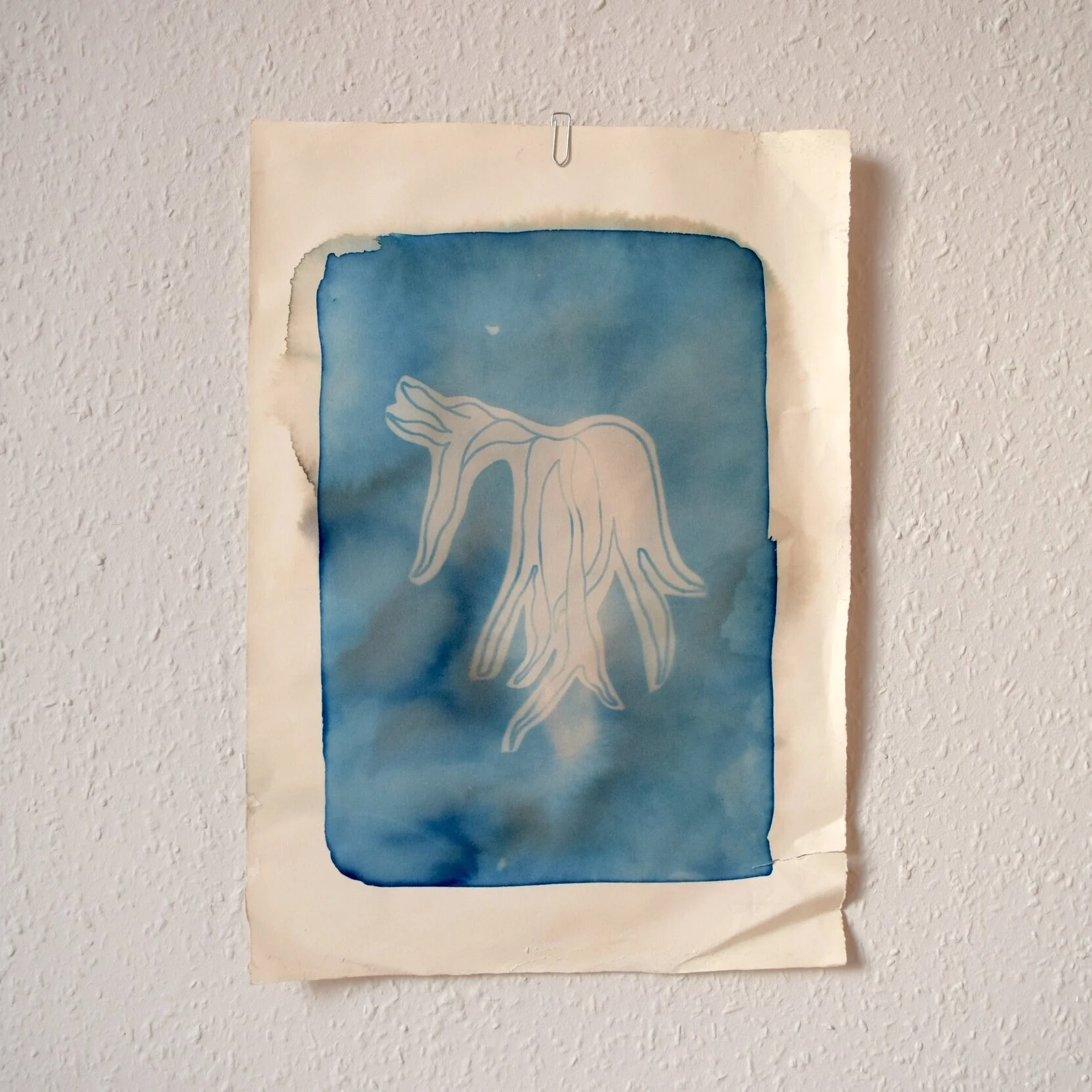 Fern_Cyanotype_7.jpg