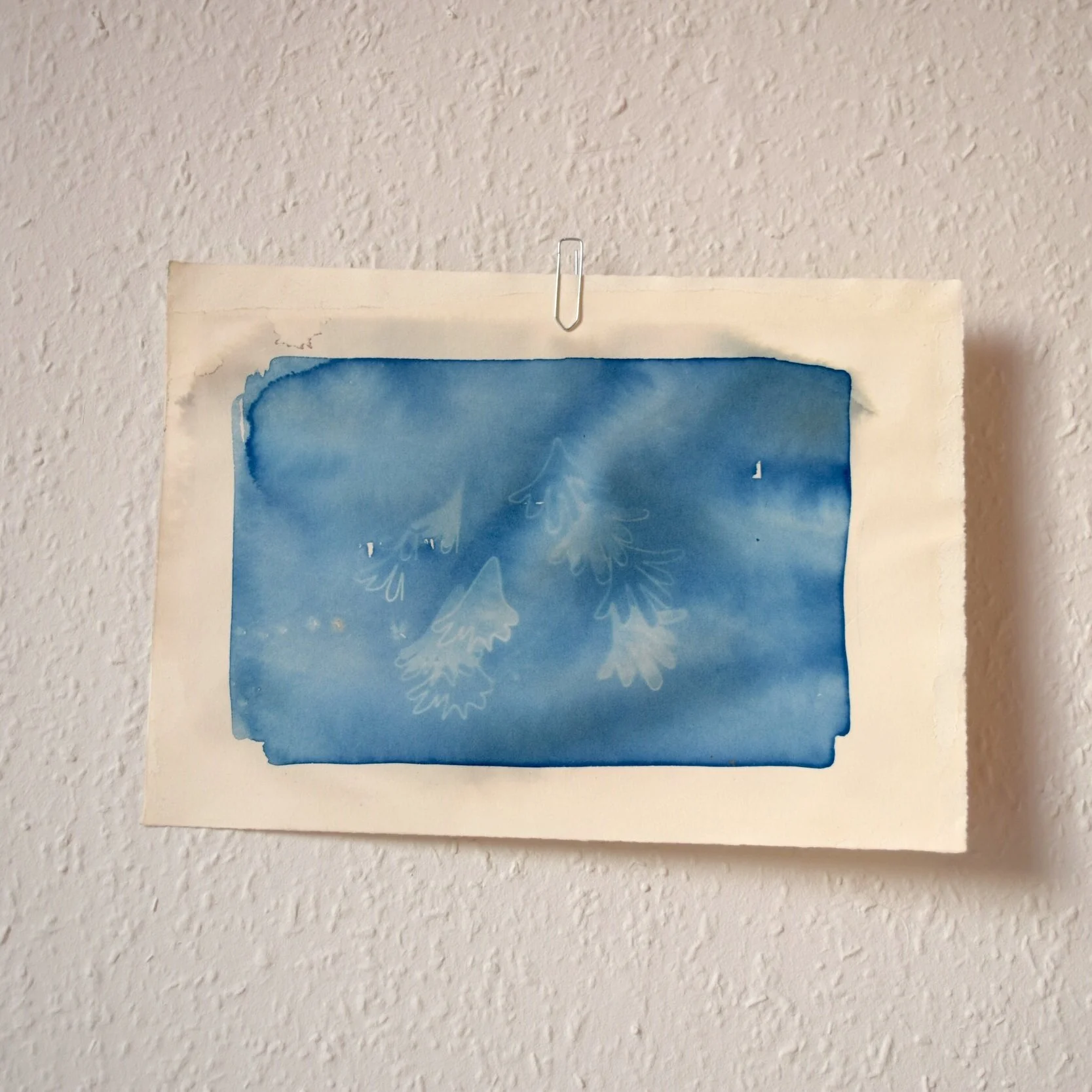 Fern_Cyanotype_8.jpg