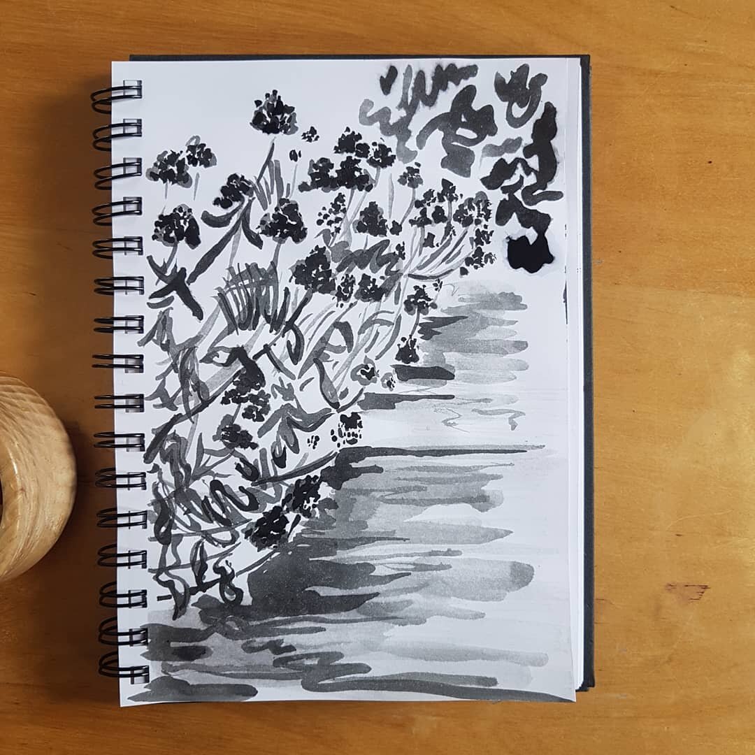 Sedums
29.10.2020
#inktober2020