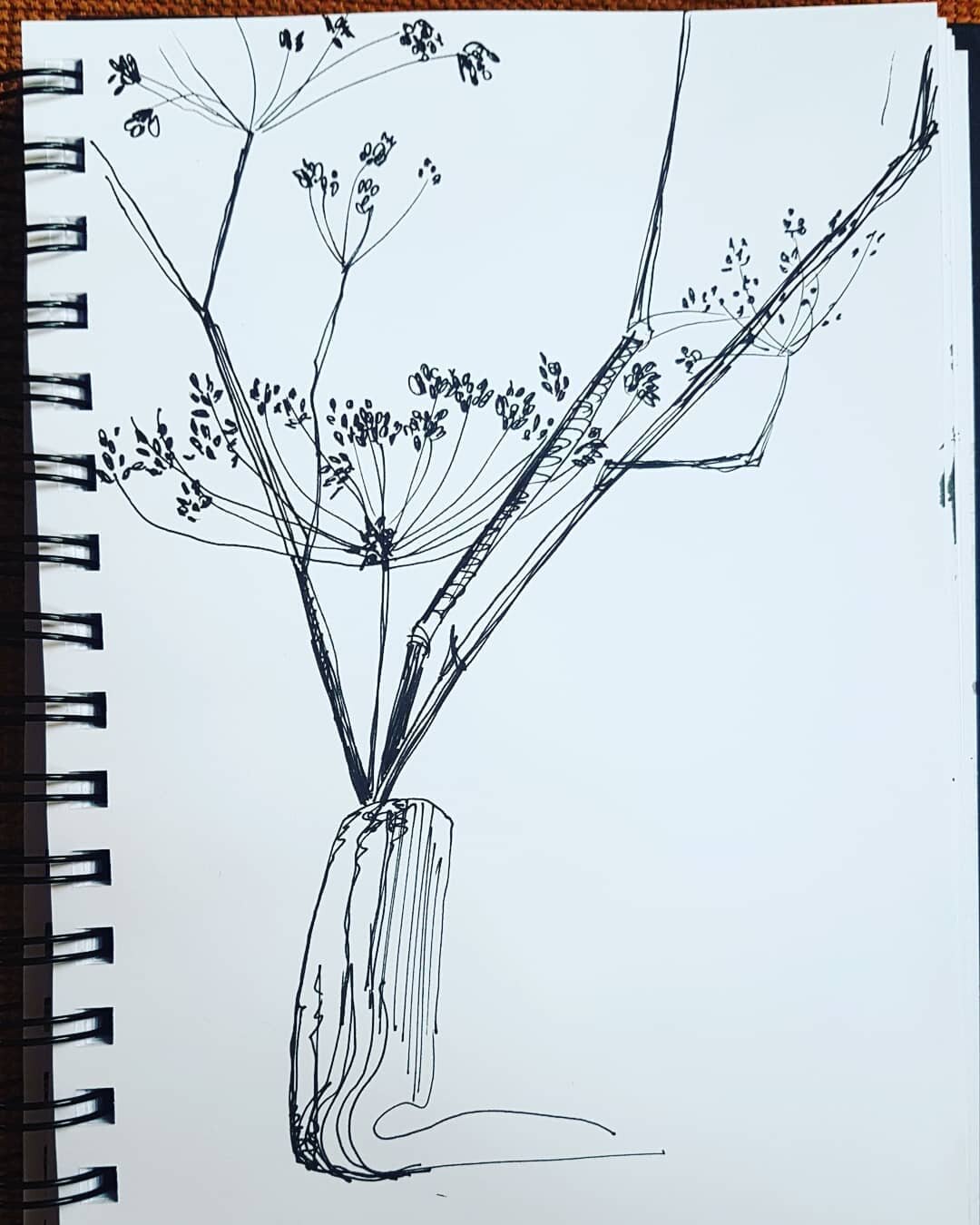 Fennel
27.10.2020
#inktober2020