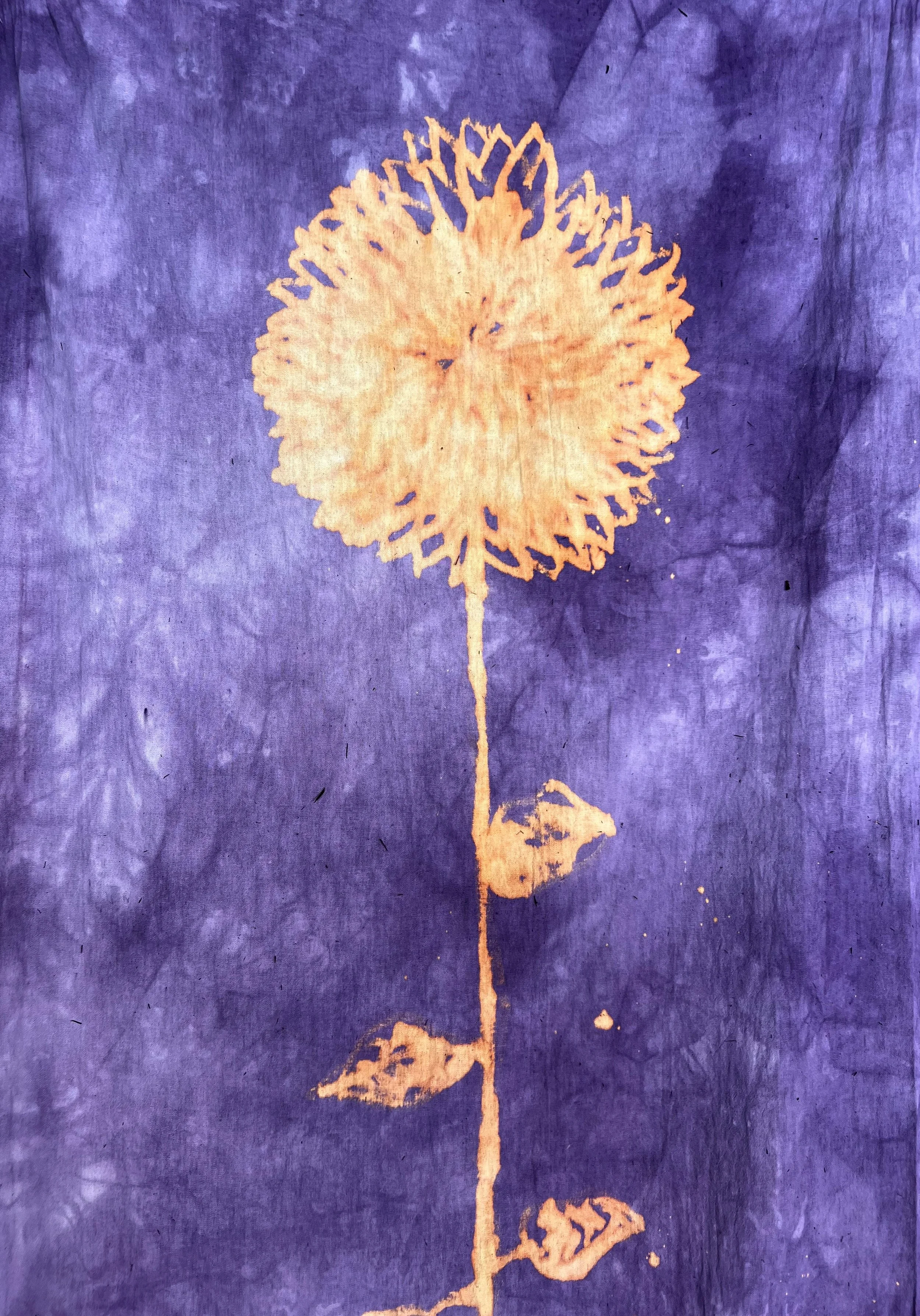 sunflower detail_3mb.jpg