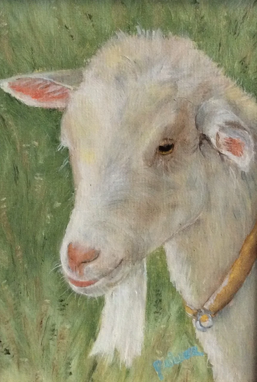Pinkie of Gilbriar Farm.jpg