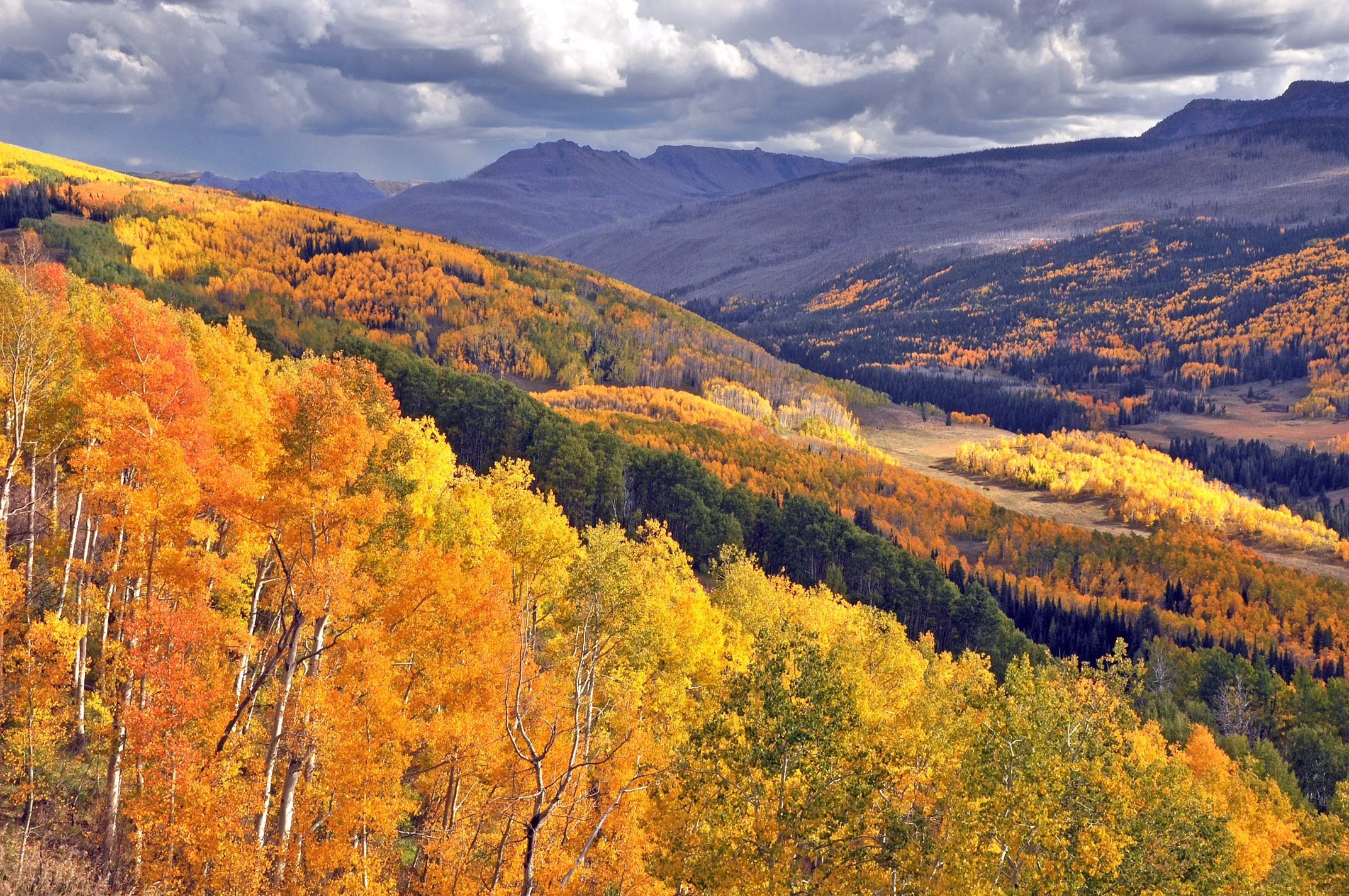 Scott Fall Colors.jpg