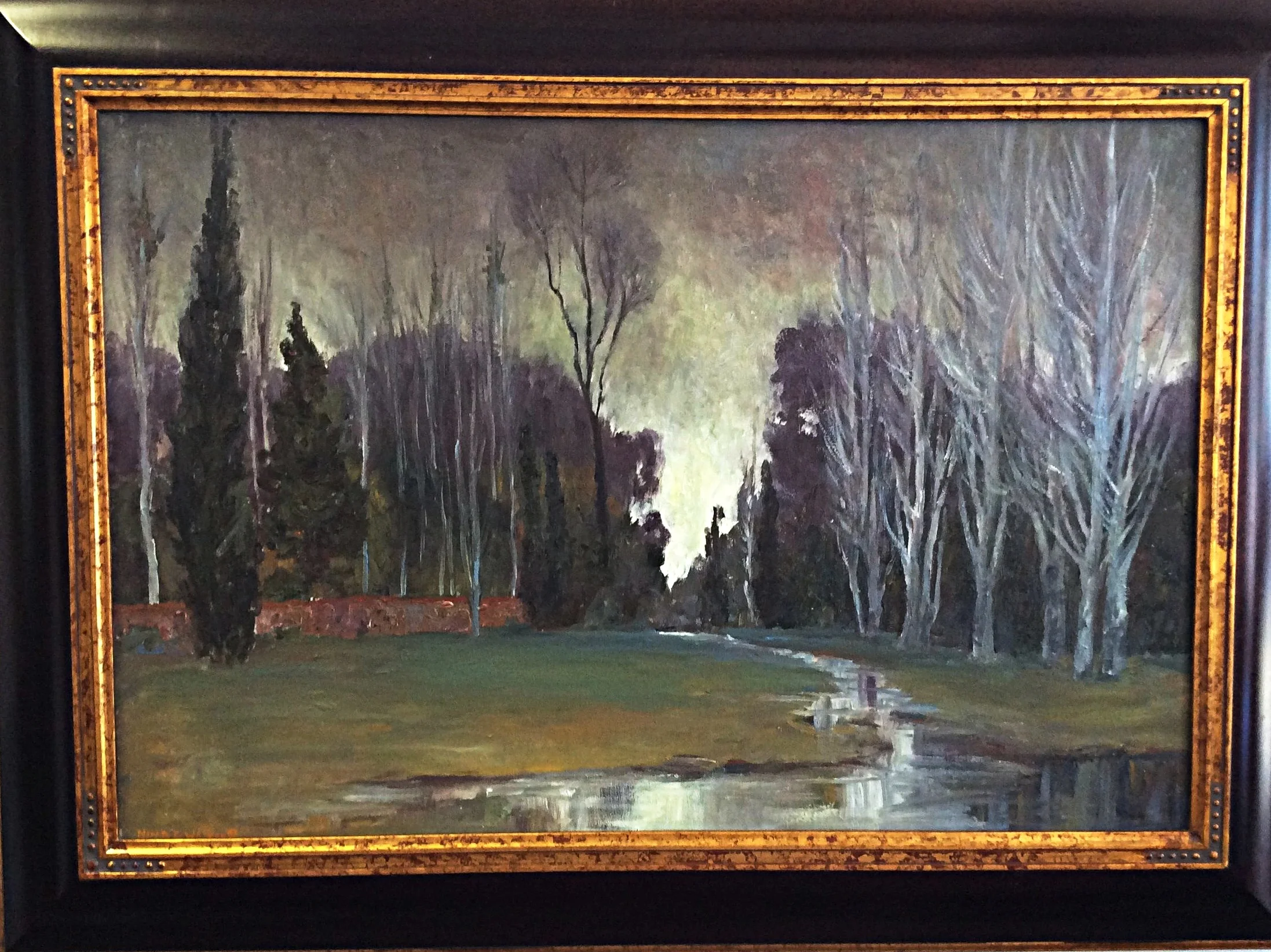 Reflections of the Burl Framed.jpg