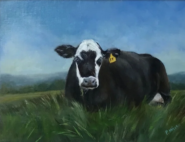 HILL COUNTRY PASTURE