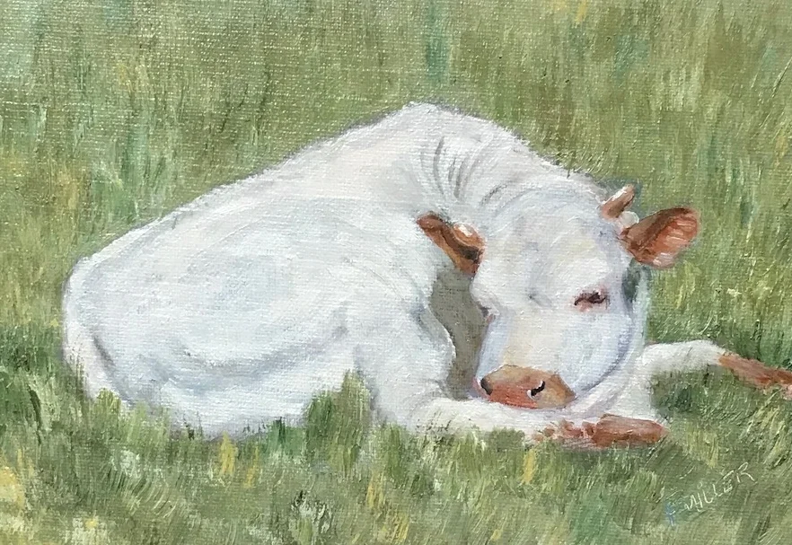 FREDERICKSBURG  MORNING