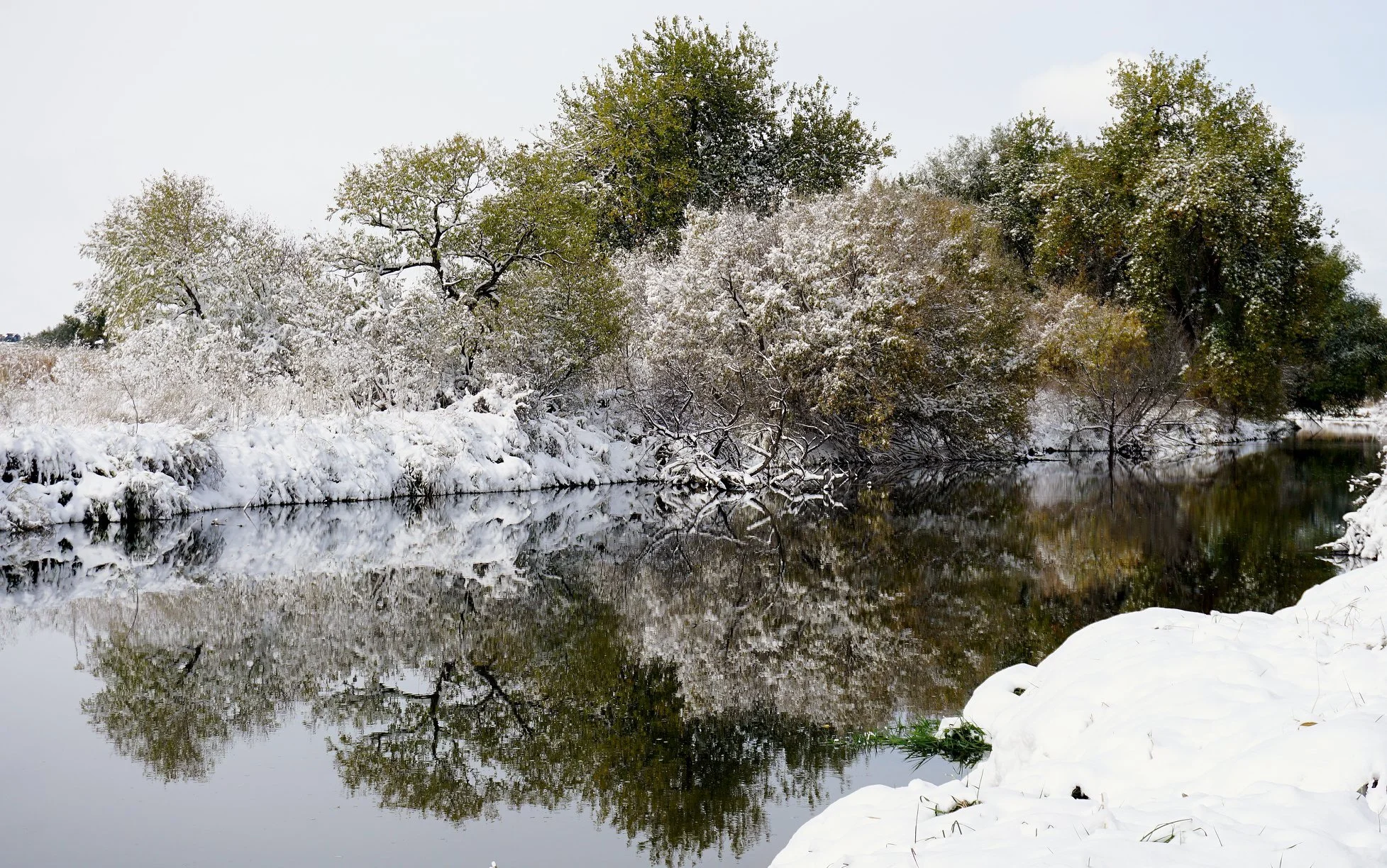 Winter on the Poudre River Trail