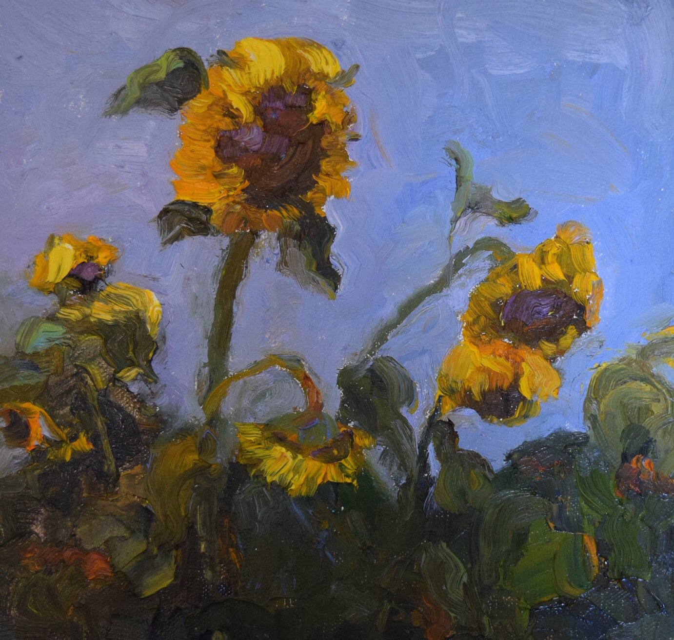 NCW Field of Light 8x8 #8101.JPG