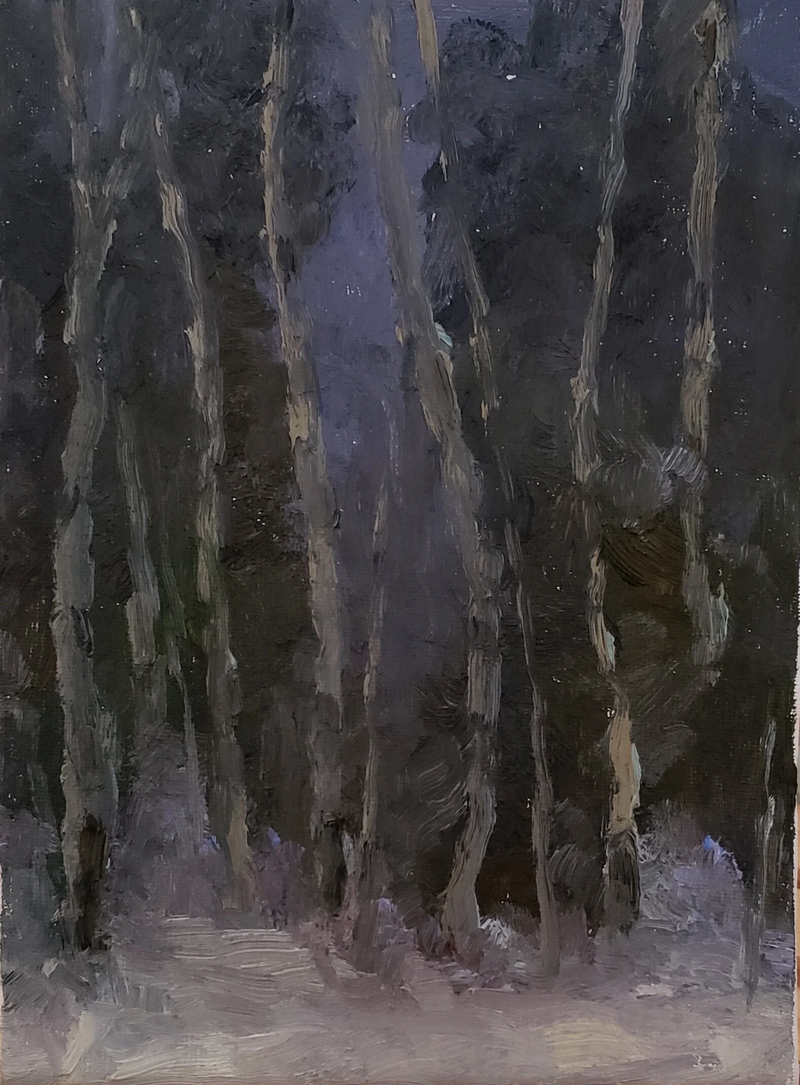 NCW Trees 20200310_110547.JPG