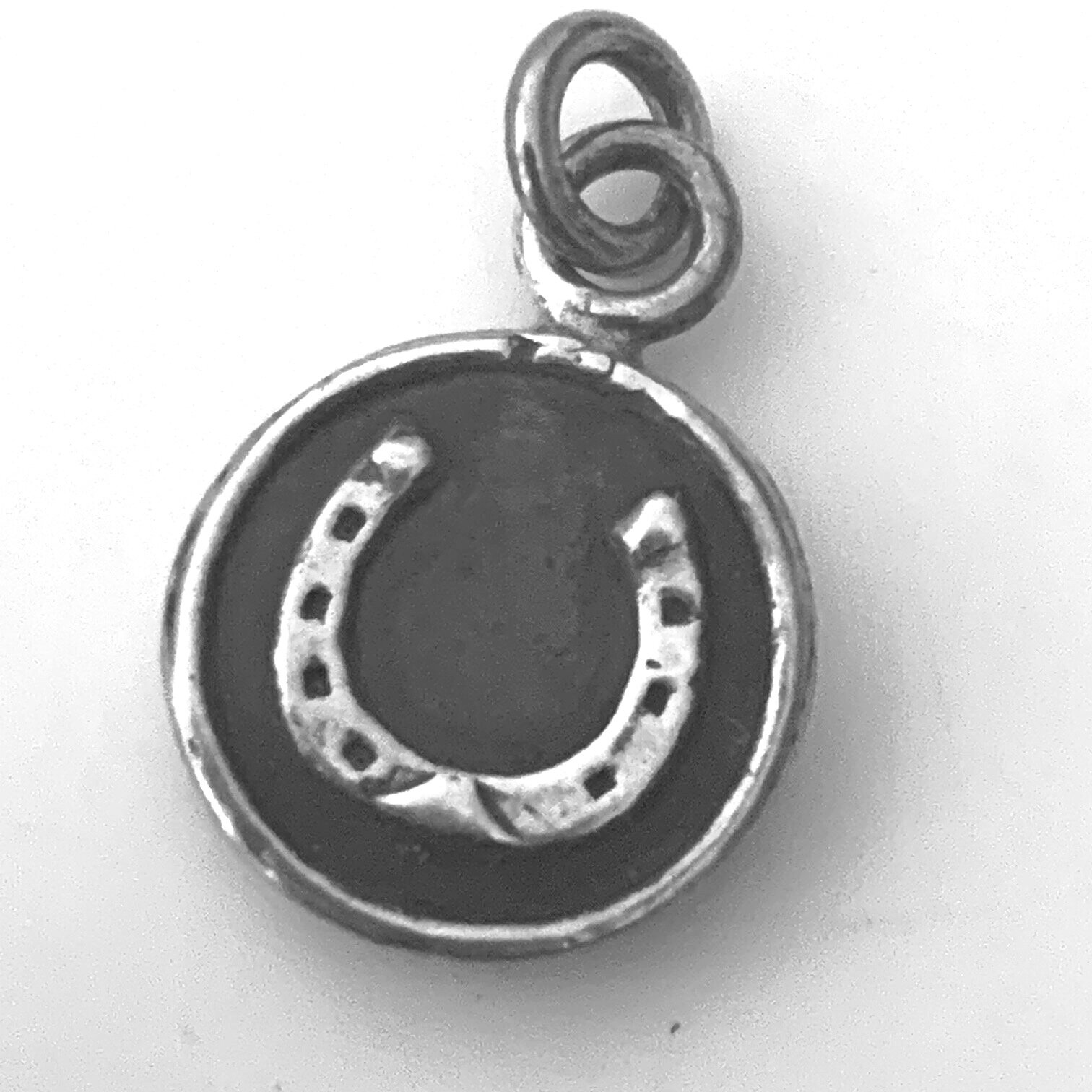 Horseshoe Talisman Charm