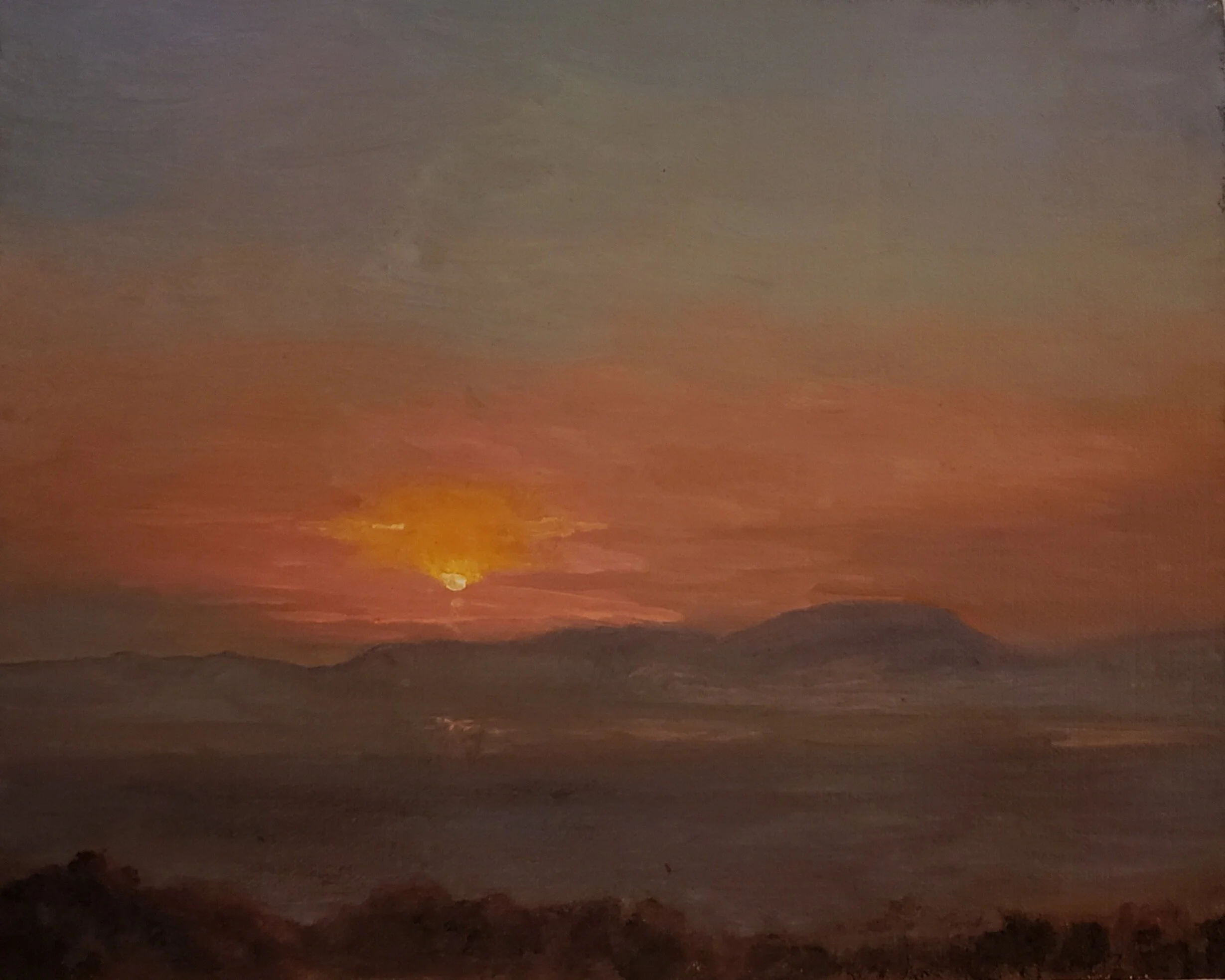nina cobb walker