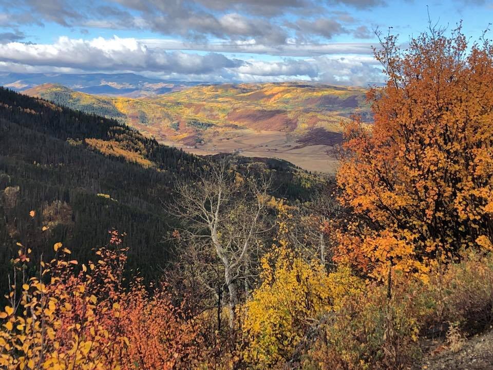 Rabbit Ears Pass Color