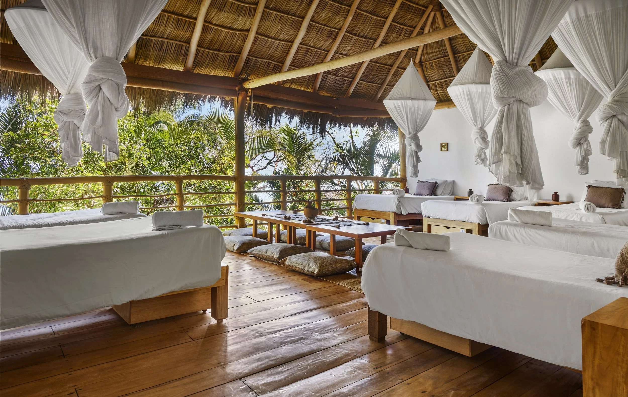 Big Palapa.jpg