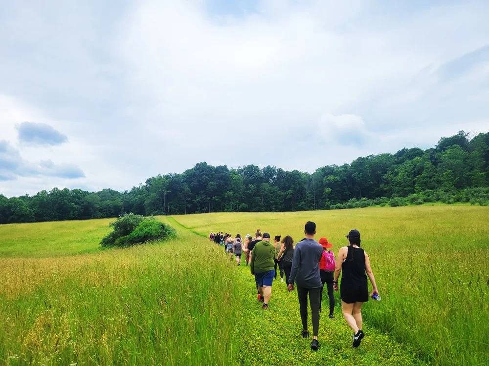 hike-group-meadow.jpg