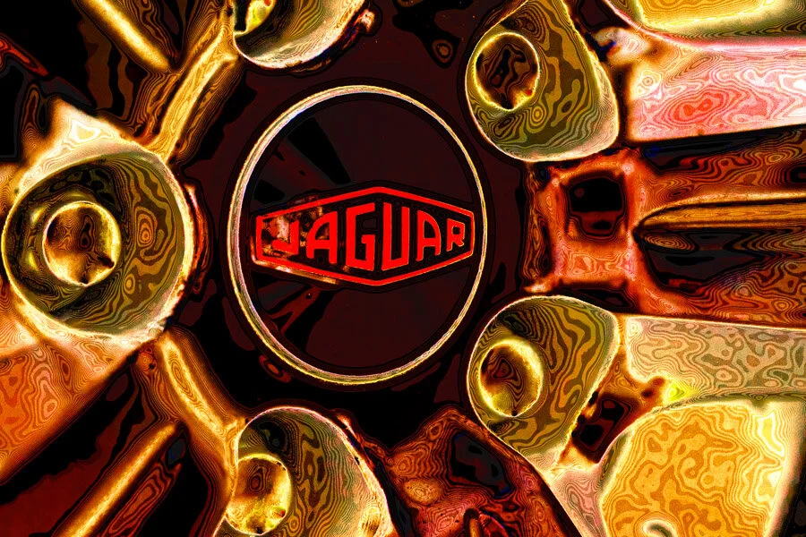 Jaguar #1