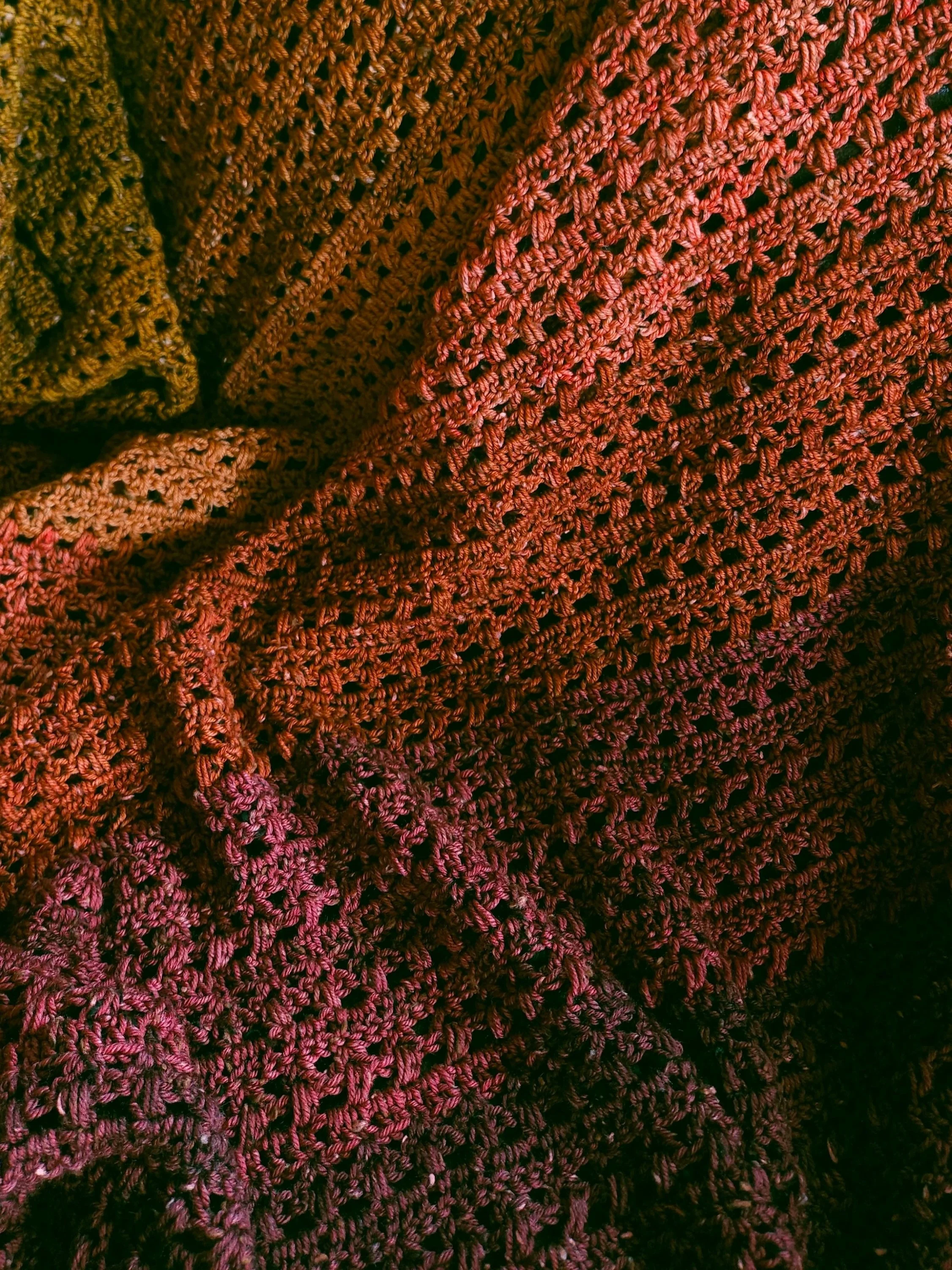 20260822_130545.jpg