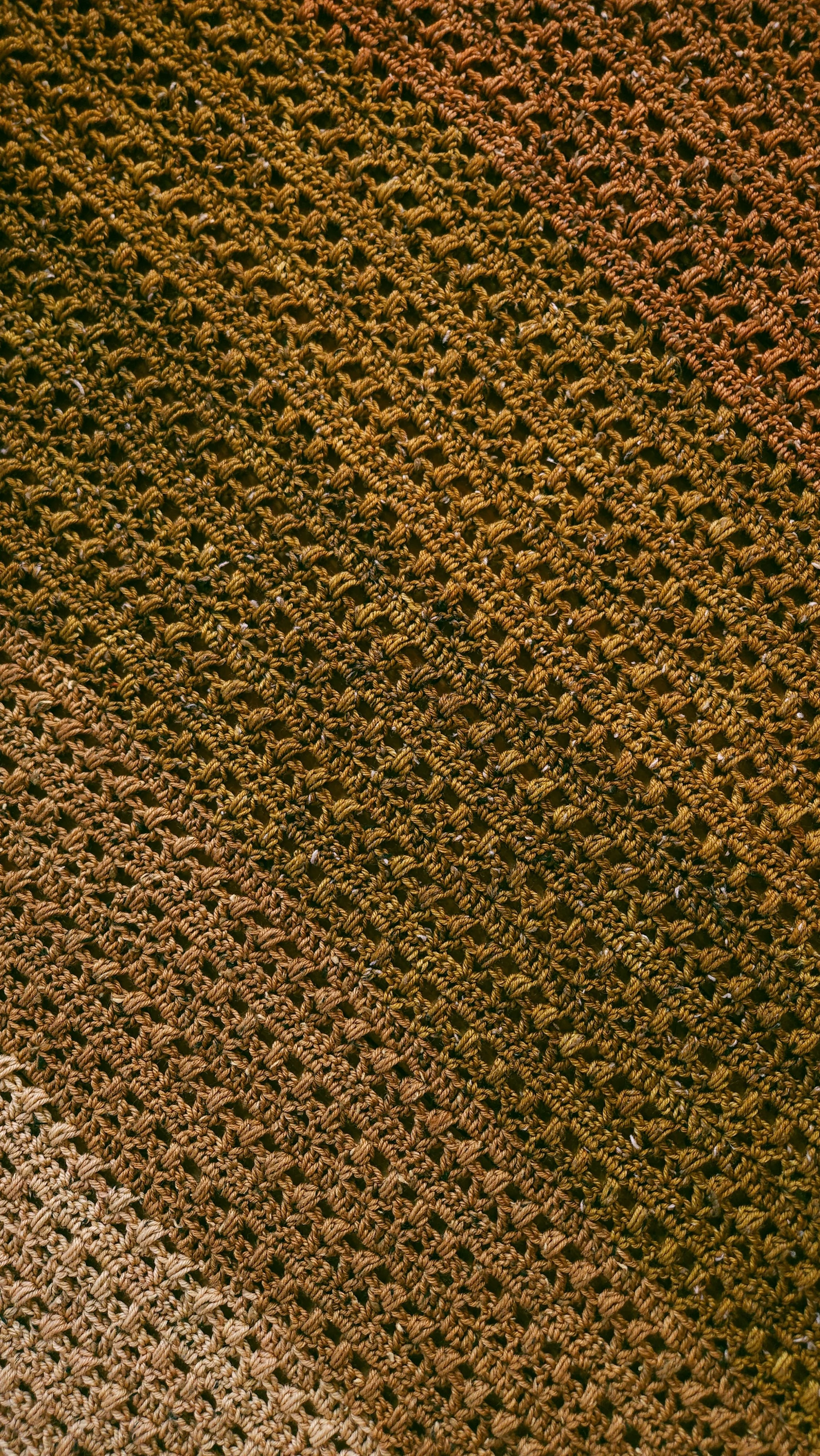20260822_131021.jpg