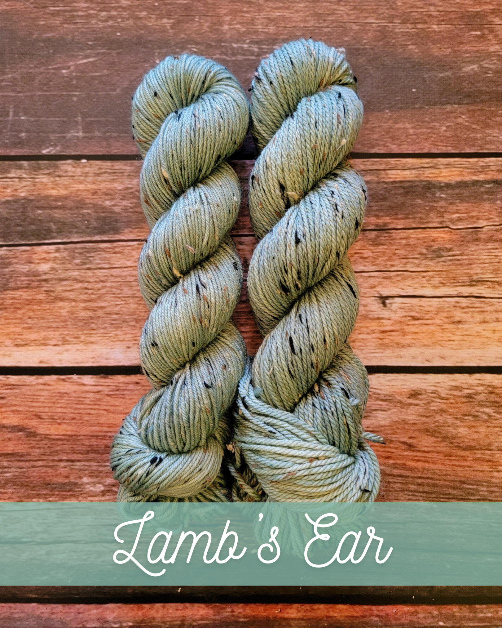 Lamb's Ear.png