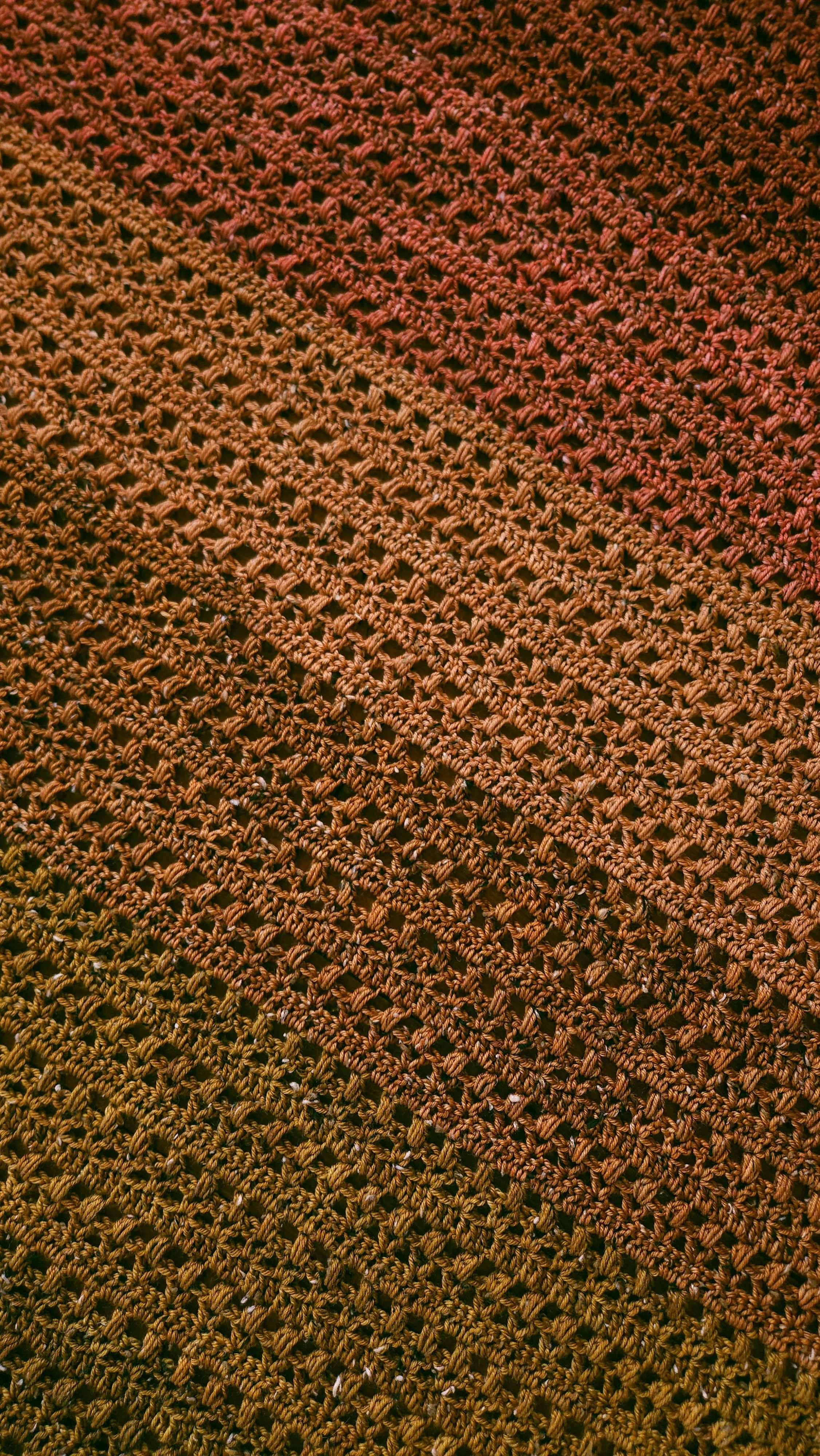 20260822_131016.jpg
