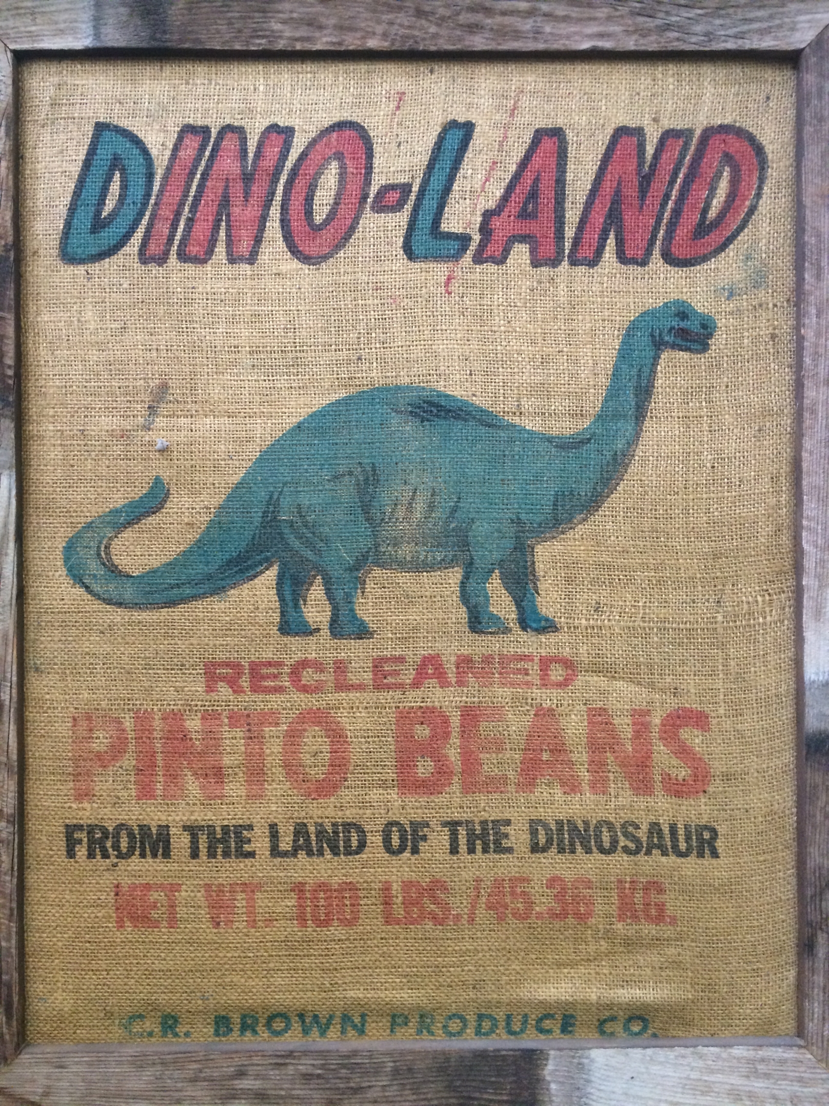 dino-land bag. cr brown produce.JPG