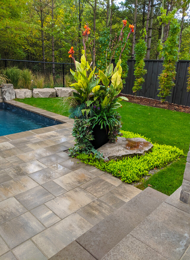 best London ontario award winning landscaping company Jay McKinnon gardens - Jay McKinnon landscape London ontario.jpg