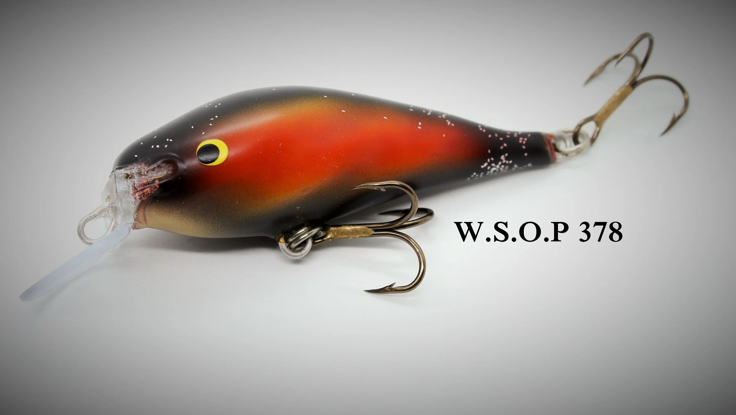 W378_1.jpg