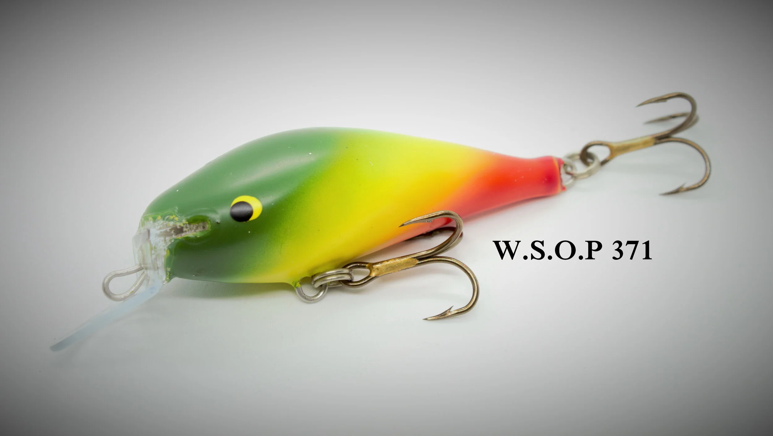 W371_1.jpg