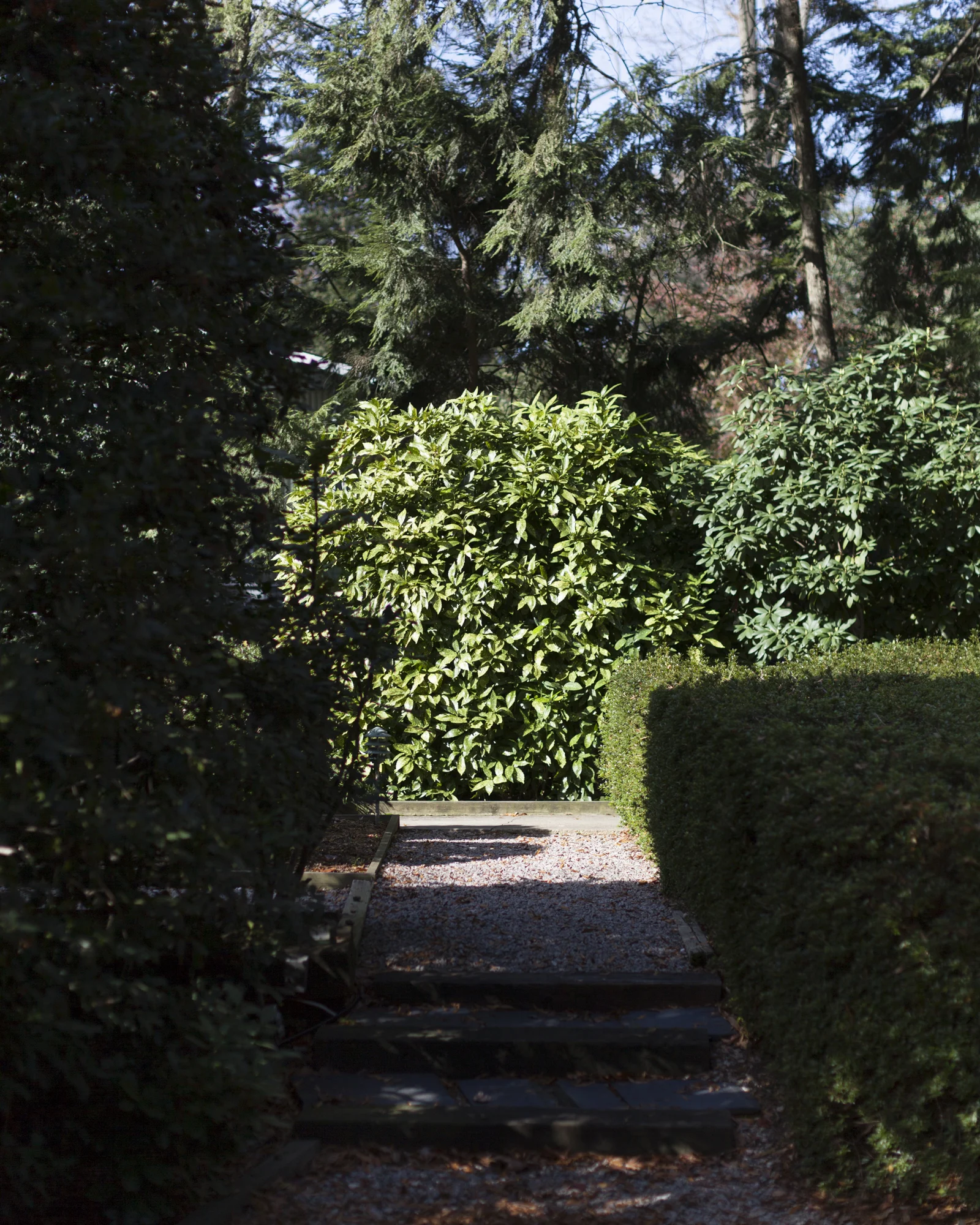 CarolineSpace_Caroline-Space_ForestofLorien_HollinHills_Story_002-4.jpg