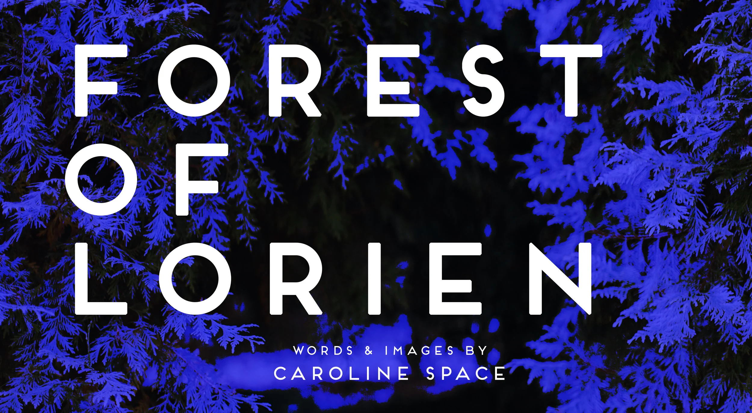 forestoflorien.jpg