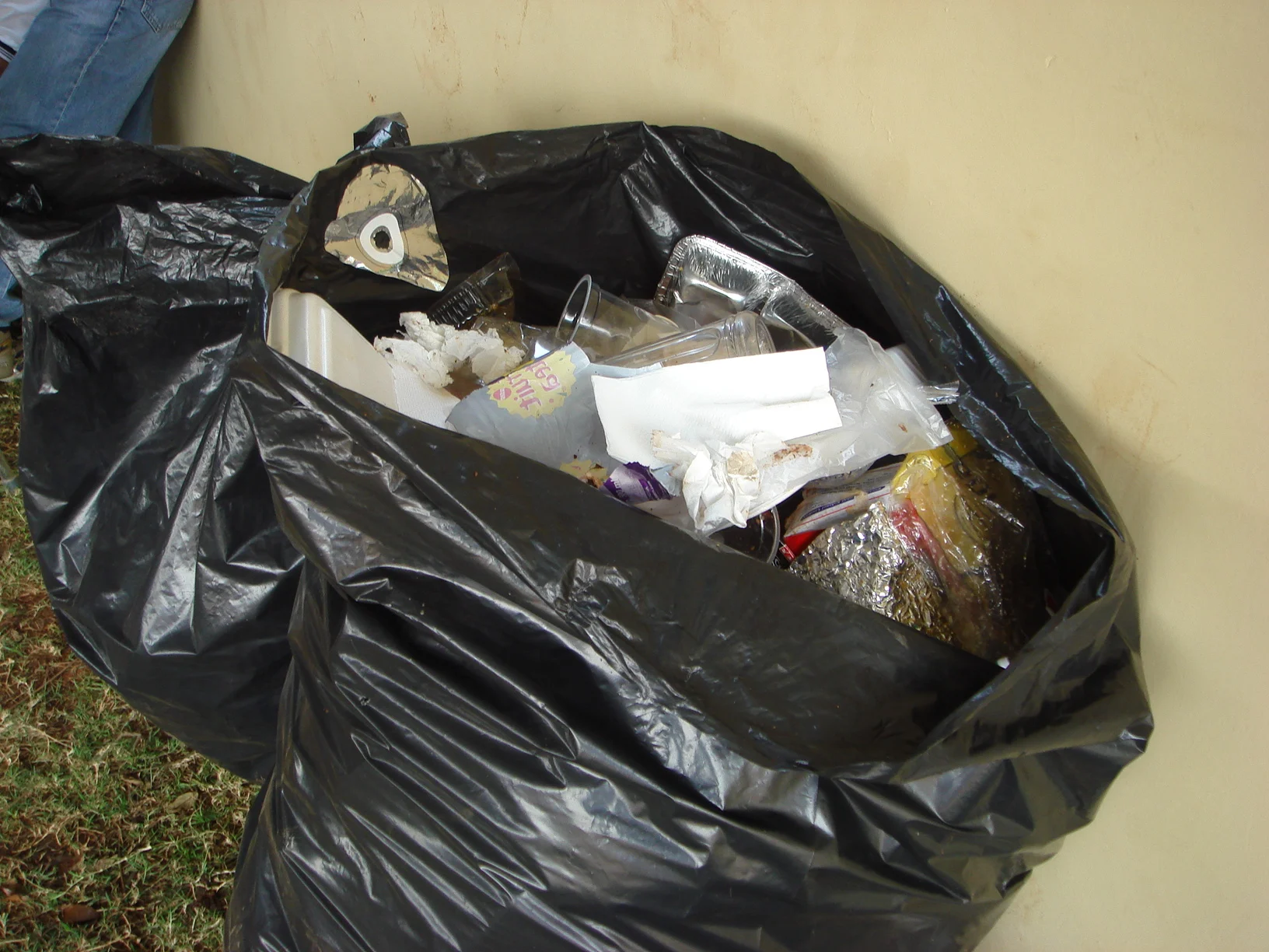 Garbage_bag.jpg