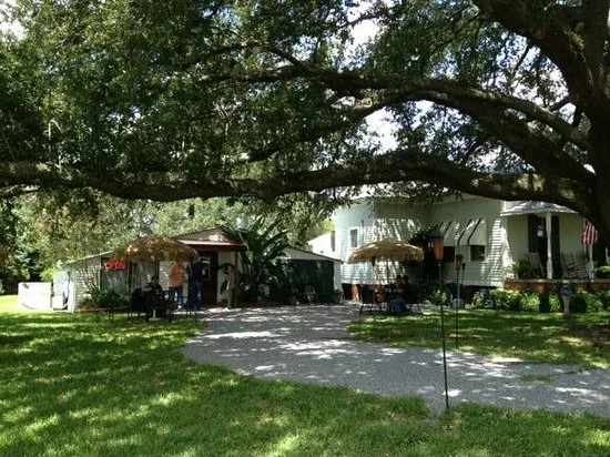 Shade Tree Cafe
