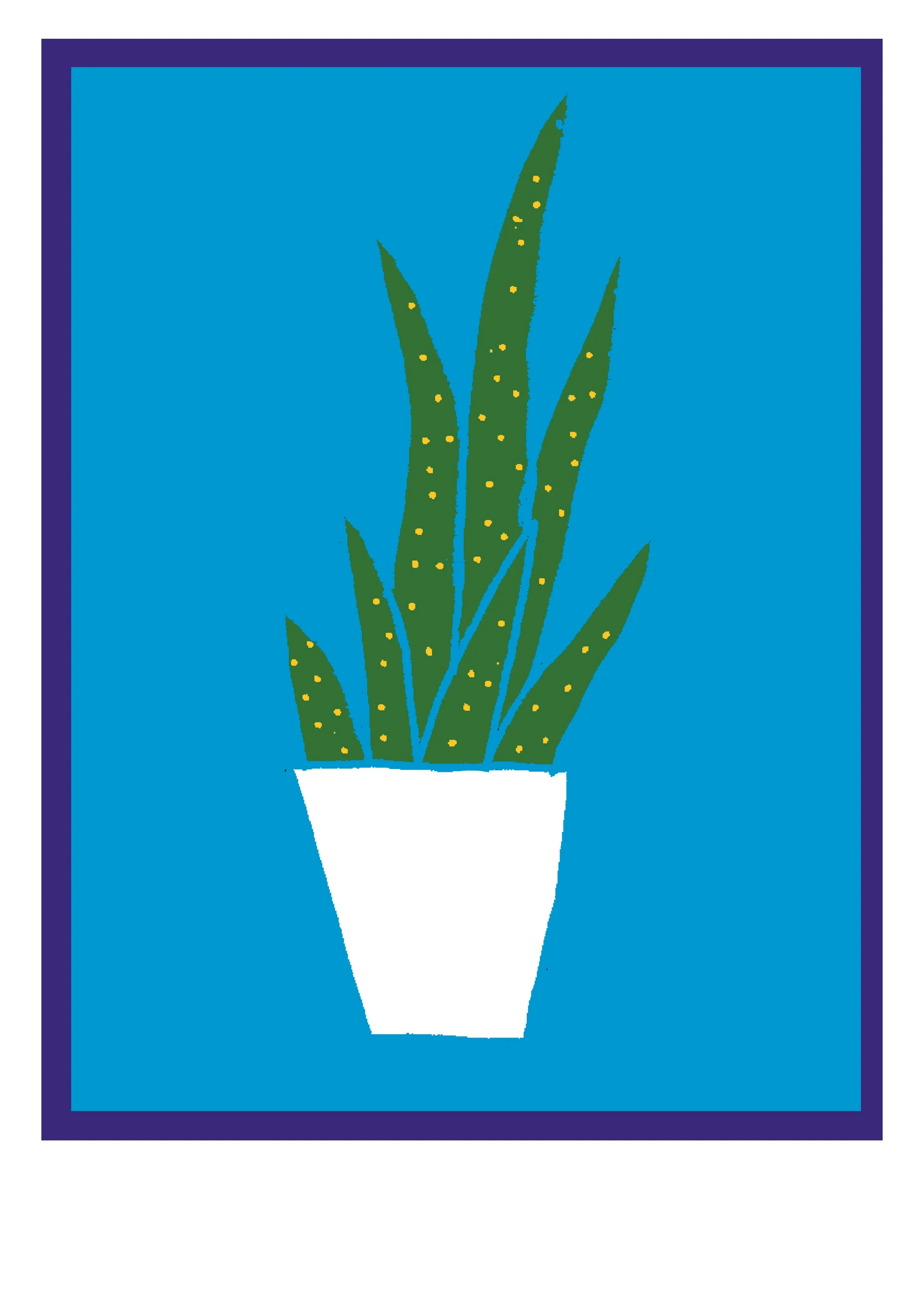 cactus another .jpg