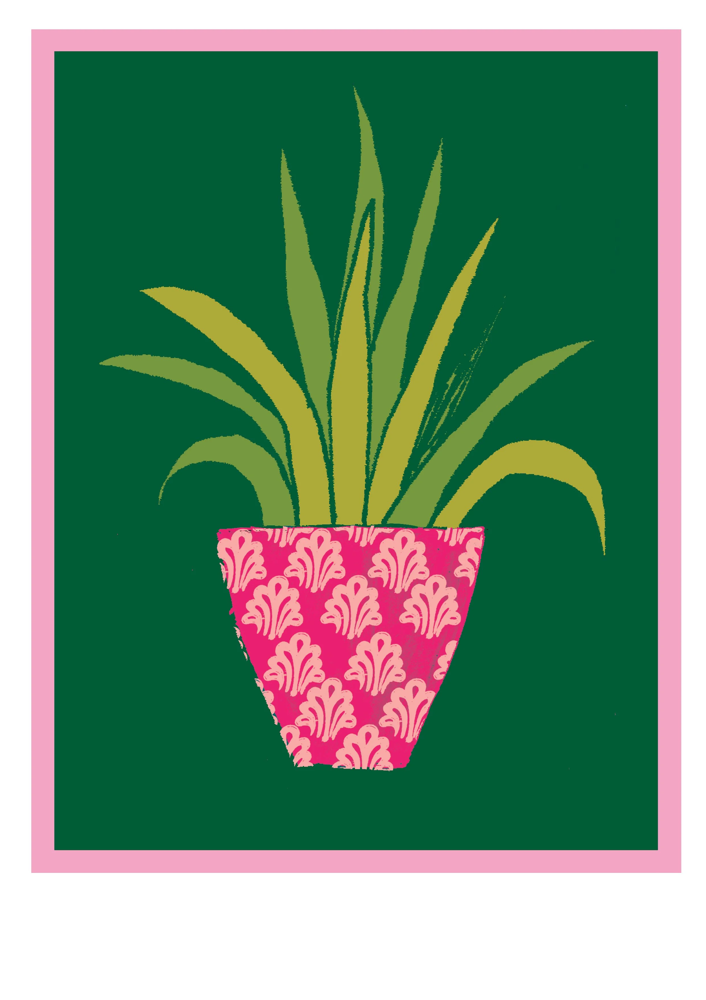 cactus 3 this.jpg