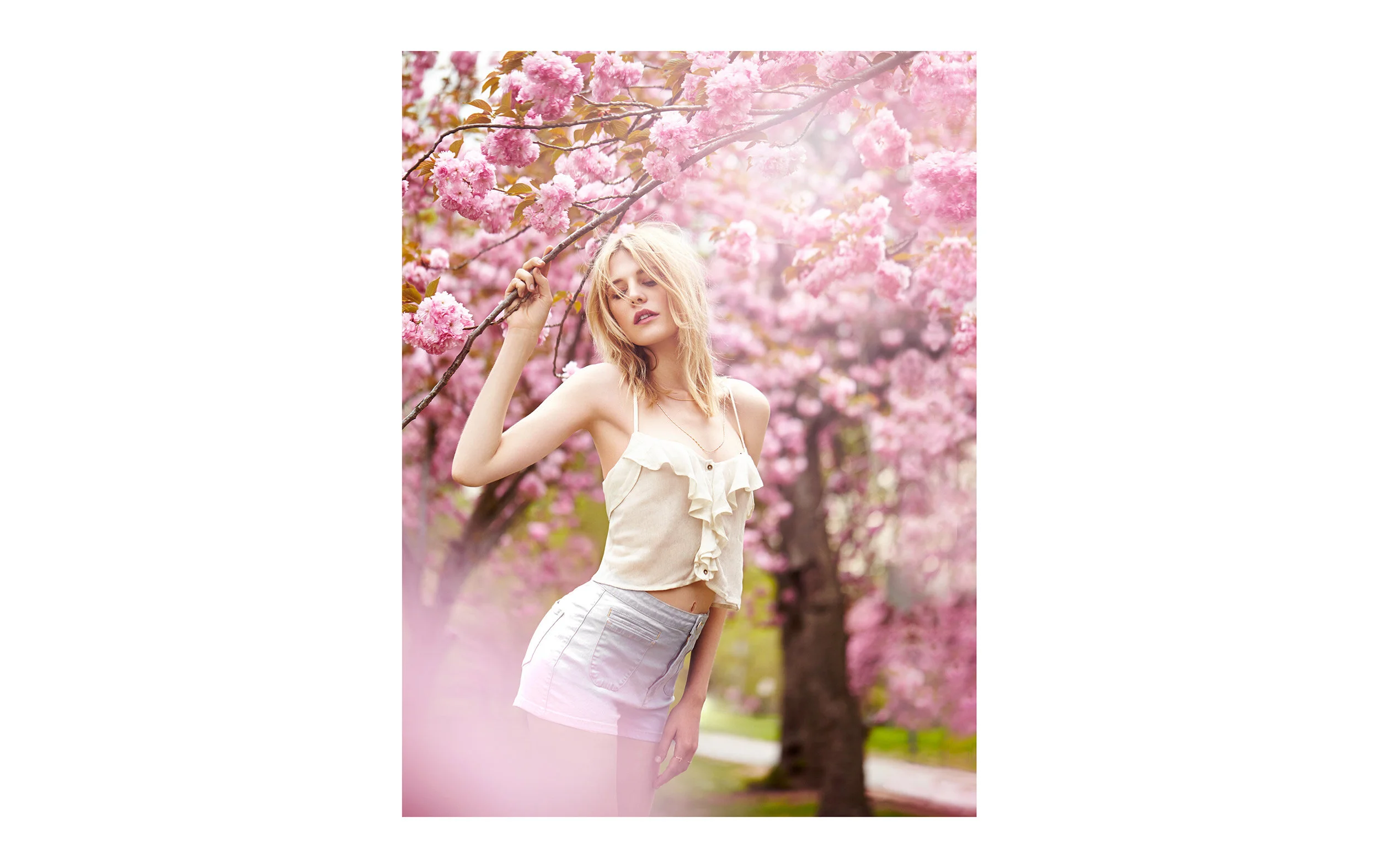06-Basilio-Bloom.jpg