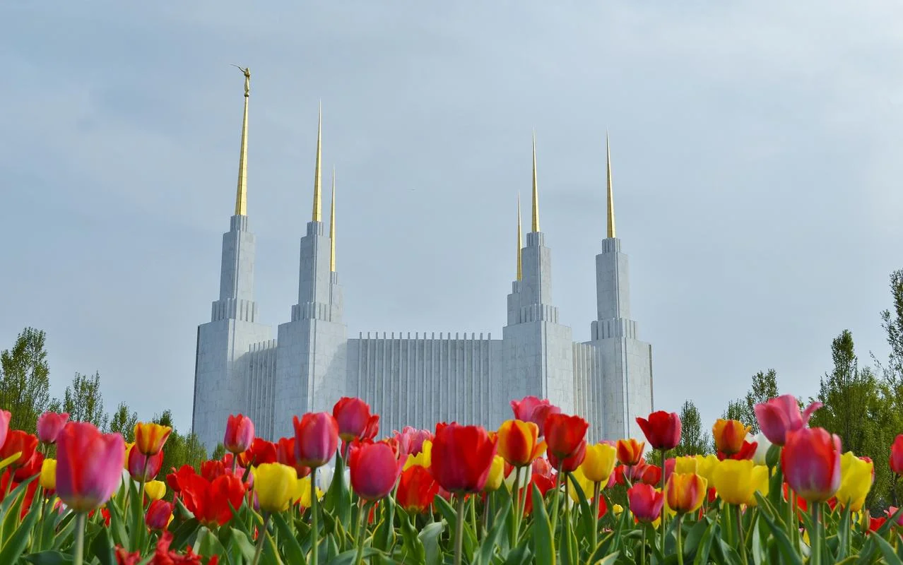 washington-dc-temple-spring-1160328-wallpaper.jpg