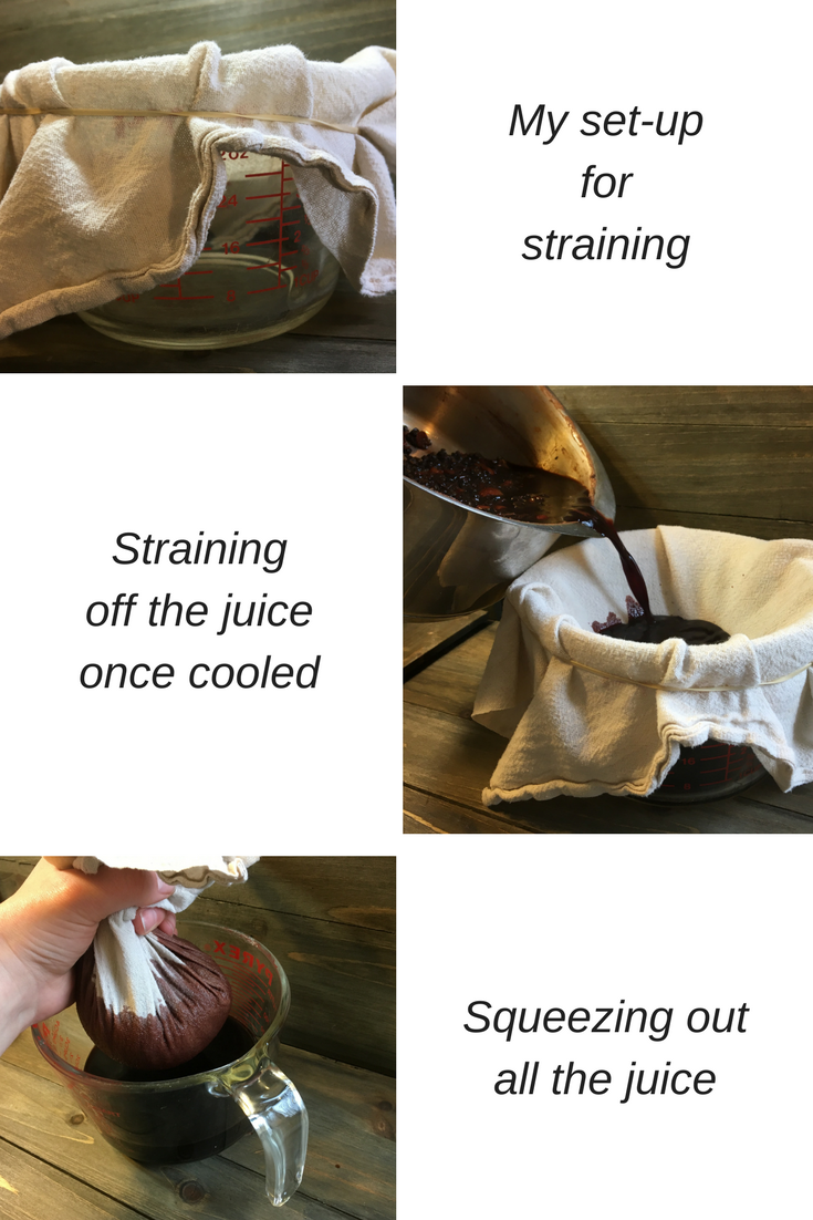 How to make elderberry syrup the right way | Mossy Meadow Farm | Intentional Living in the country with herbs, spices, and botanicals