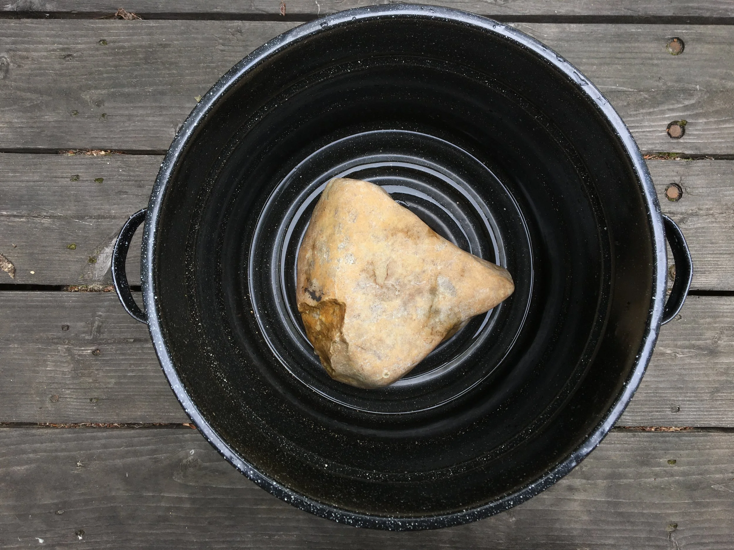 How to make hydrosols at home with no special equipment | Mossy Meadow Farm | Intentional Living in the country with herbs, spices, and botanicals